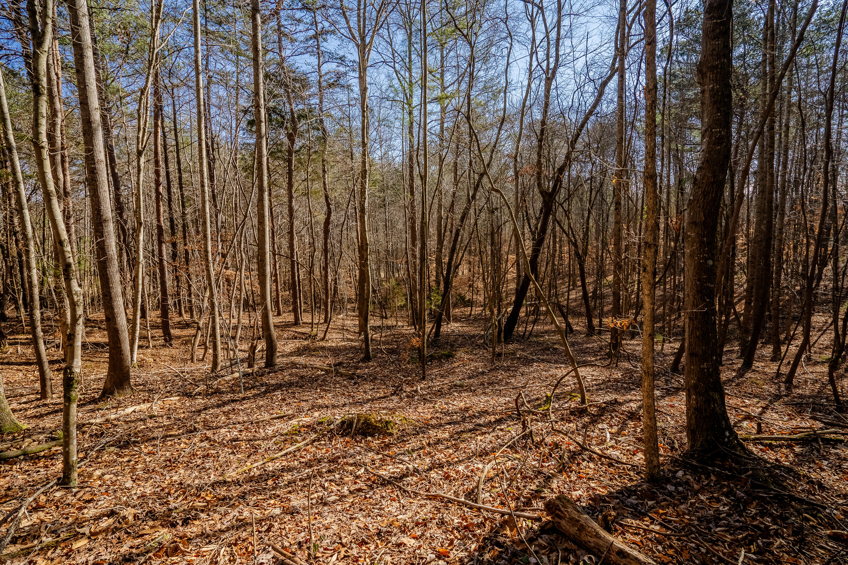 42 Quarles Road Rocky Face, GA 30740 - Photo 3 of 28 QuarelsRdLot42-26