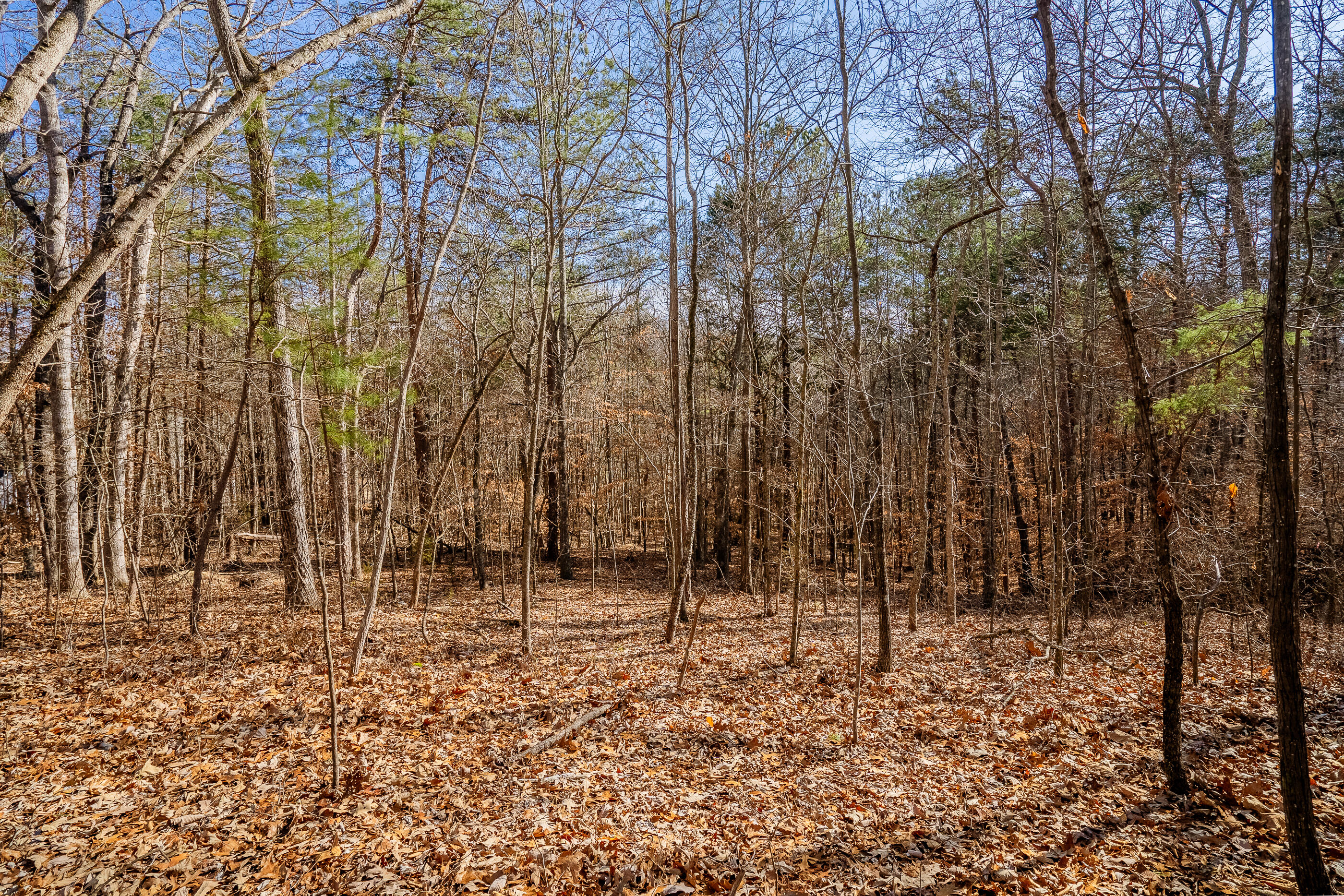 42 Quarles Road Rocky Face, GA 30740 - Photo 4 of 28 QuarelsRdLot42-25
