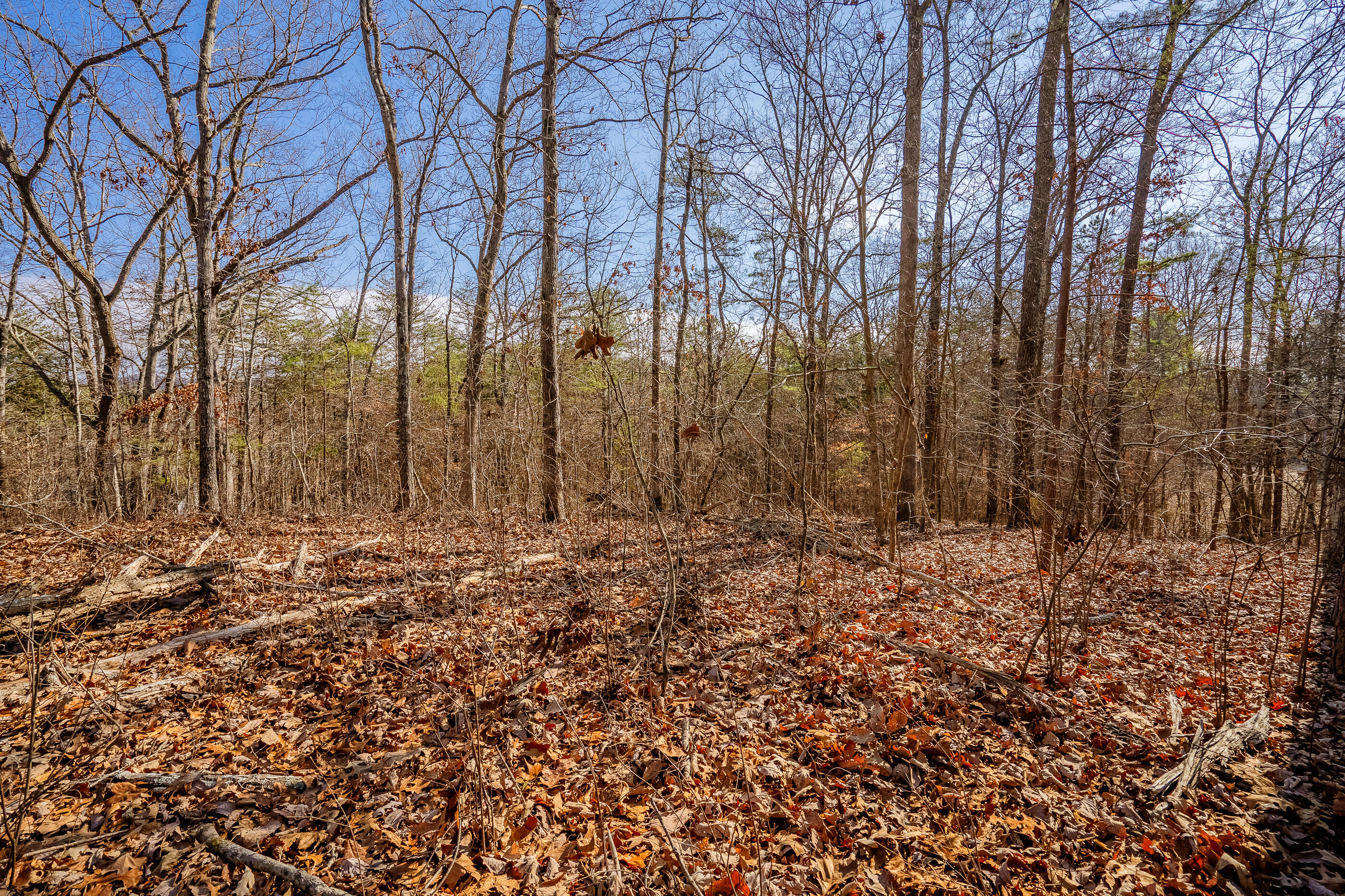 42 Quarles Road Rocky Face, GA 30740 - Photo 6 of 28 QuarelsRdLot42-23