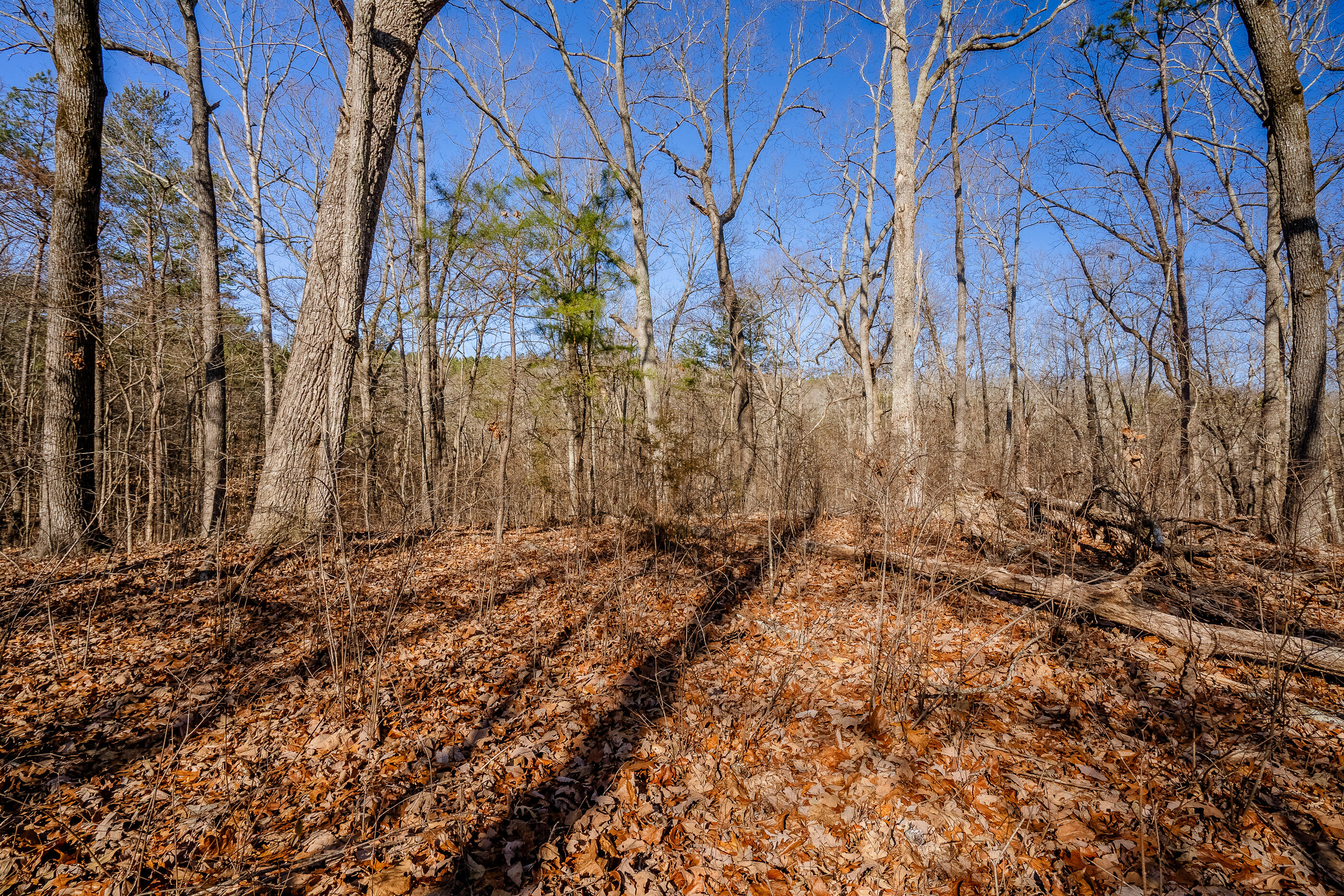 42 Quarles Road Rocky Face, GA 30740 - Photo 8 of 28 QuarelsRdLot42-21