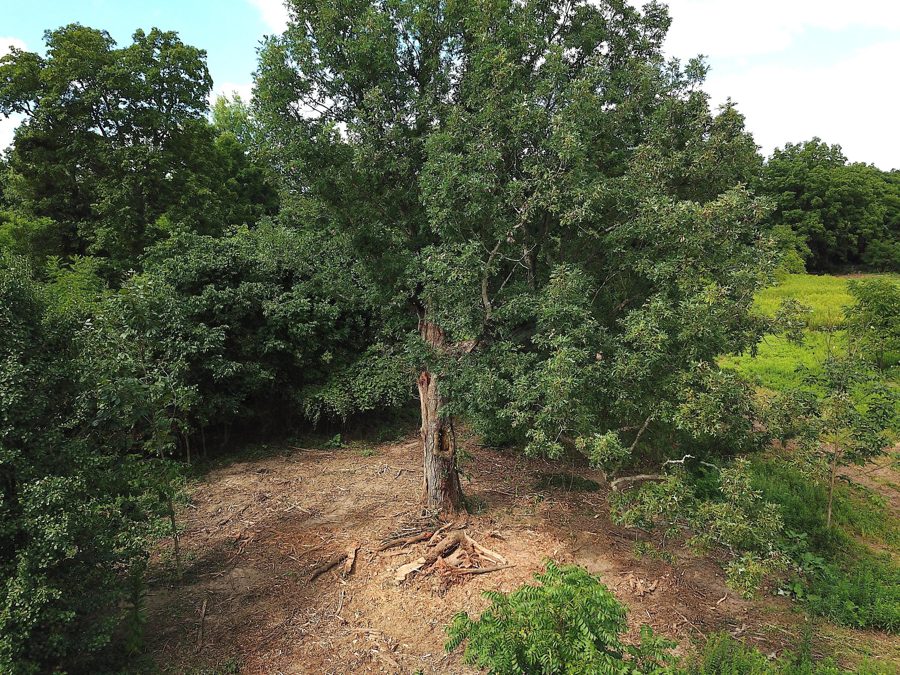 0 North Dean Road Ostrander, OH 43061 - Photo 14 of 38 DJI_0012