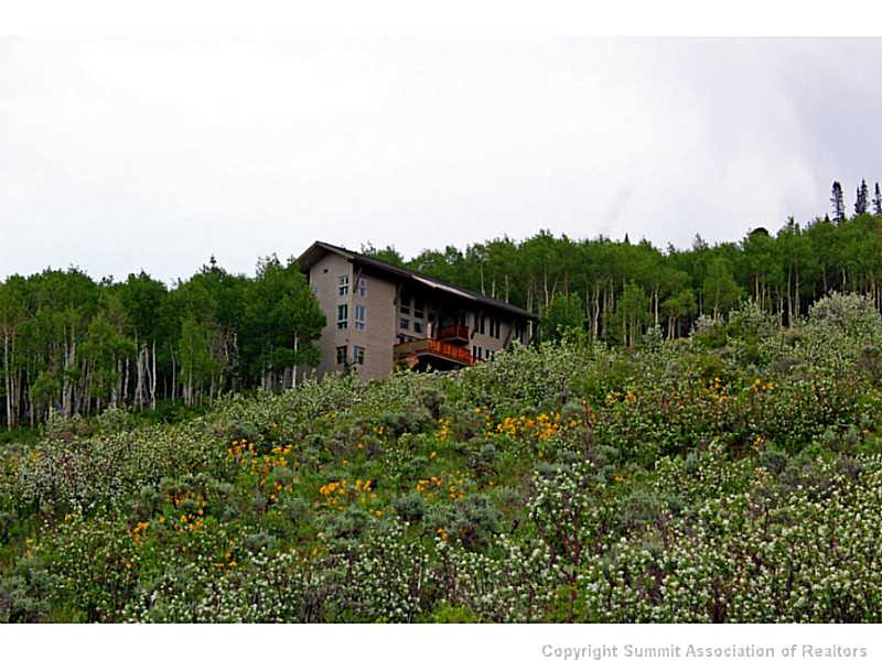 1858 Johnson Road Silverthorne, CO 80498 - Photo 1 of 1 Exterior Front.