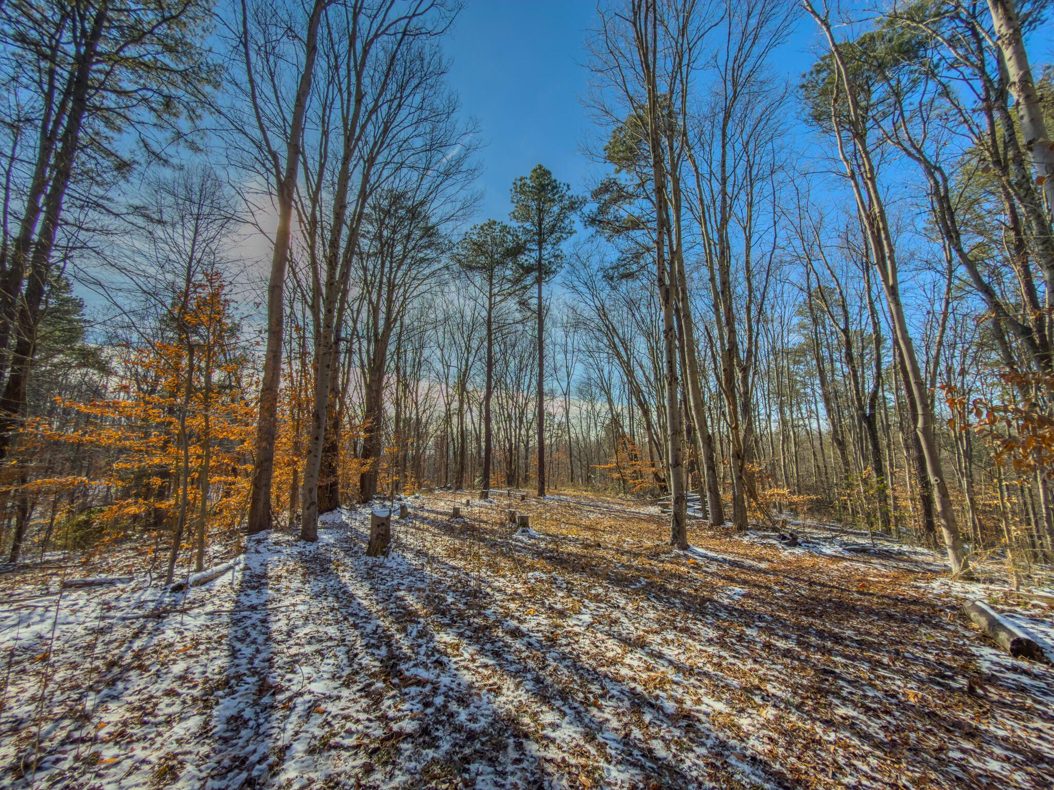 5230 Null Road Coolville, OH 45723 - Photo 12 of 54 Long fork rd.-48