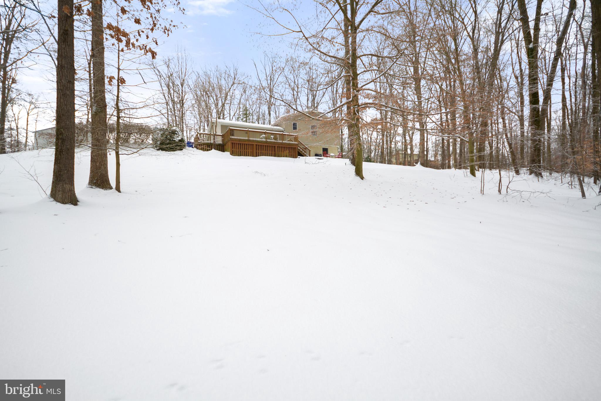 9178 Oak Tree Court Frederick, MD 21701 - Photo 14 of 44 View of Rear of Home from near stream