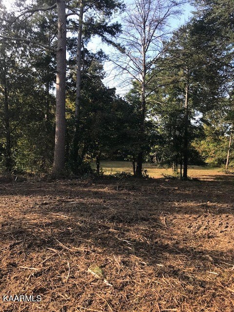 2 Boyd Road Benton, TN 37307 - Photo 3 of 7