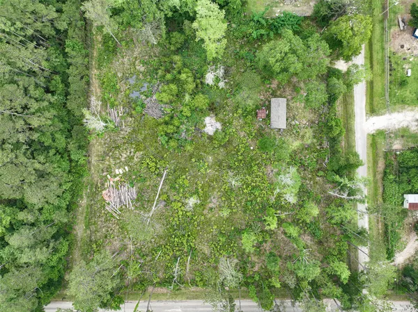 $48,000 | 0 Leona Lane, Shepherd, TX 77371