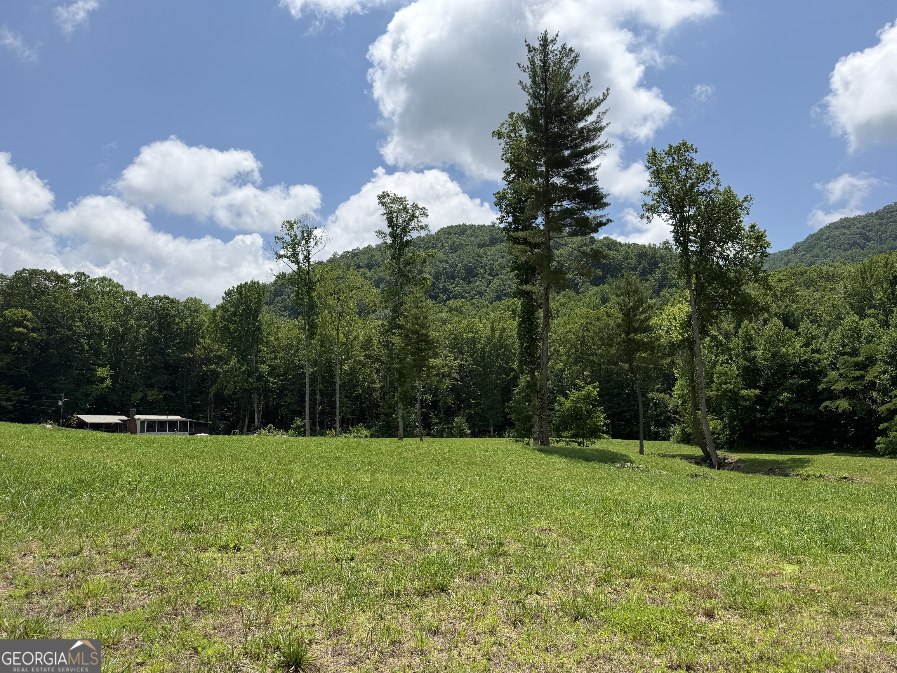 1449 Muskrat Creek Road Hayesville, NC 28904 - Photo 87 of 95