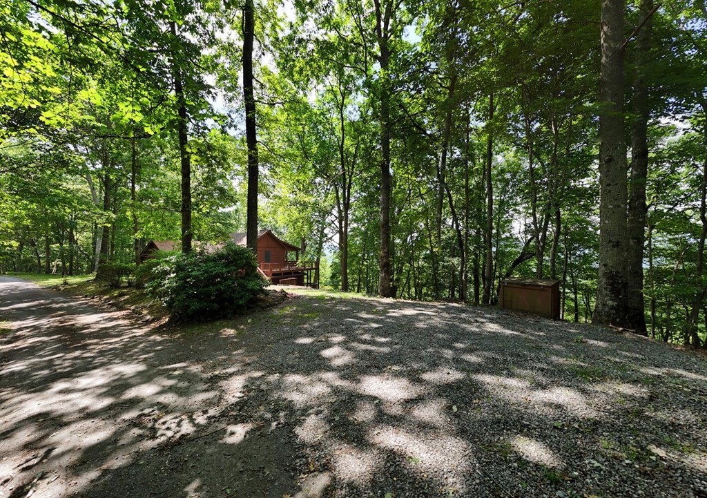 1795 Ivy Mountain Road Hiawassee, GA 30546 - Photo 12 of 53