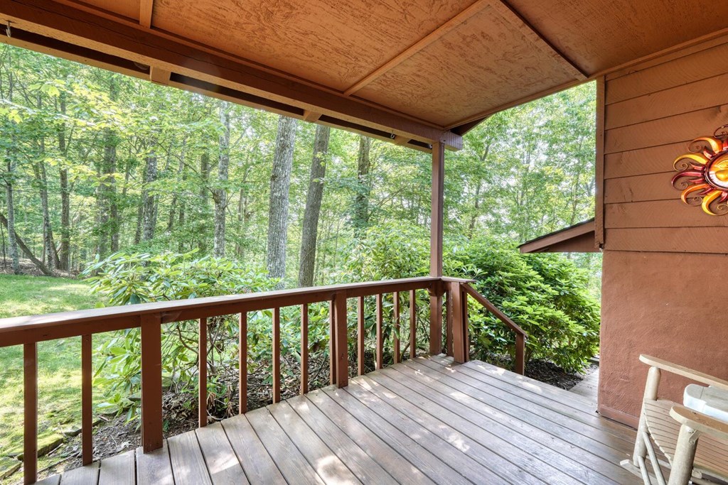 1795 Ivy Mountain Road Hiawassee, GA 30546 - Photo 41 of 53