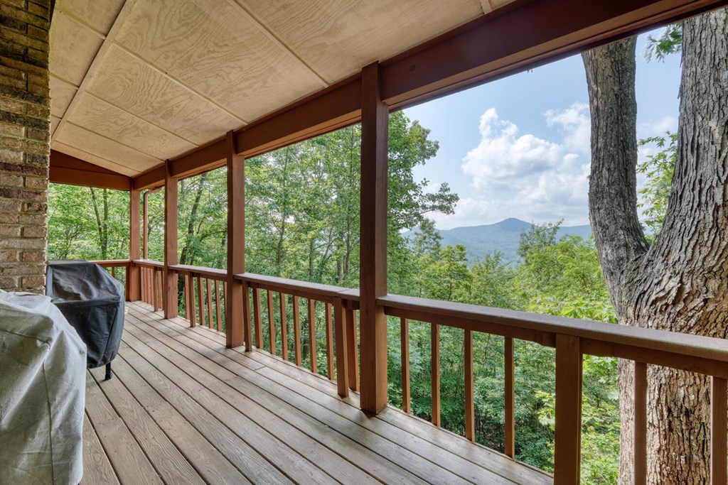 1795 Ivy Mountain Road Hiawassee, GA 30546 - Photo 44 of 53
