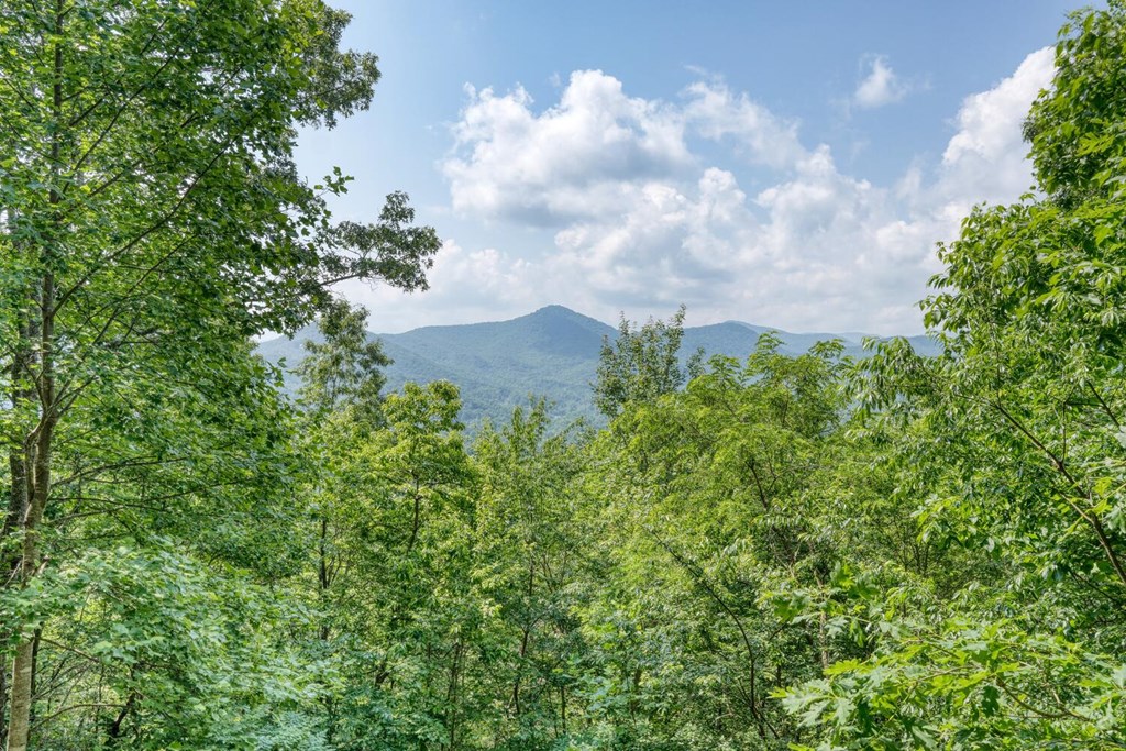 1795 Ivy Mountain Road Hiawassee, GA 30546 - Photo 48 of 53