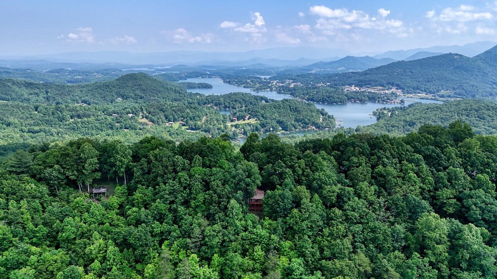 1795 Ivy Mountain Road Hiawassee, GA 30546 - Photo 49 of 53