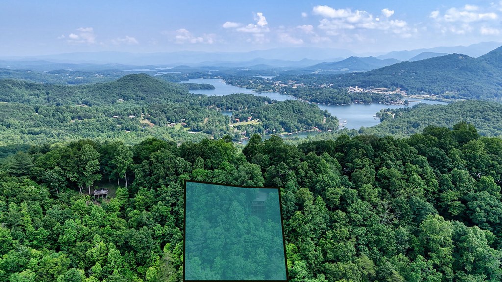 1795 Ivy Mountain Road Hiawassee, GA 30546 - Photo 50 of 53
