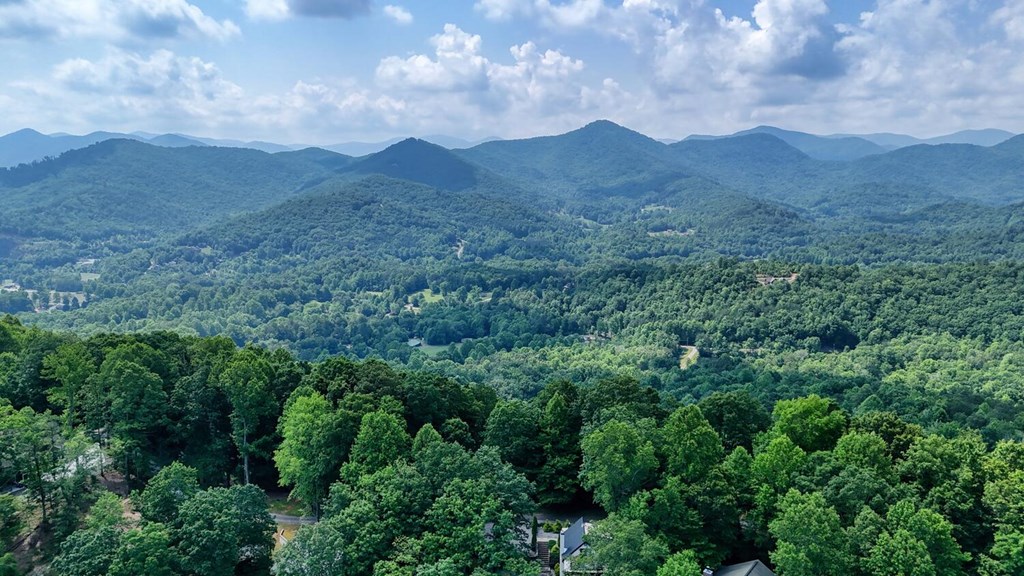 1795 Ivy Mountain Road Hiawassee, GA 30546 - Photo 52 of 53