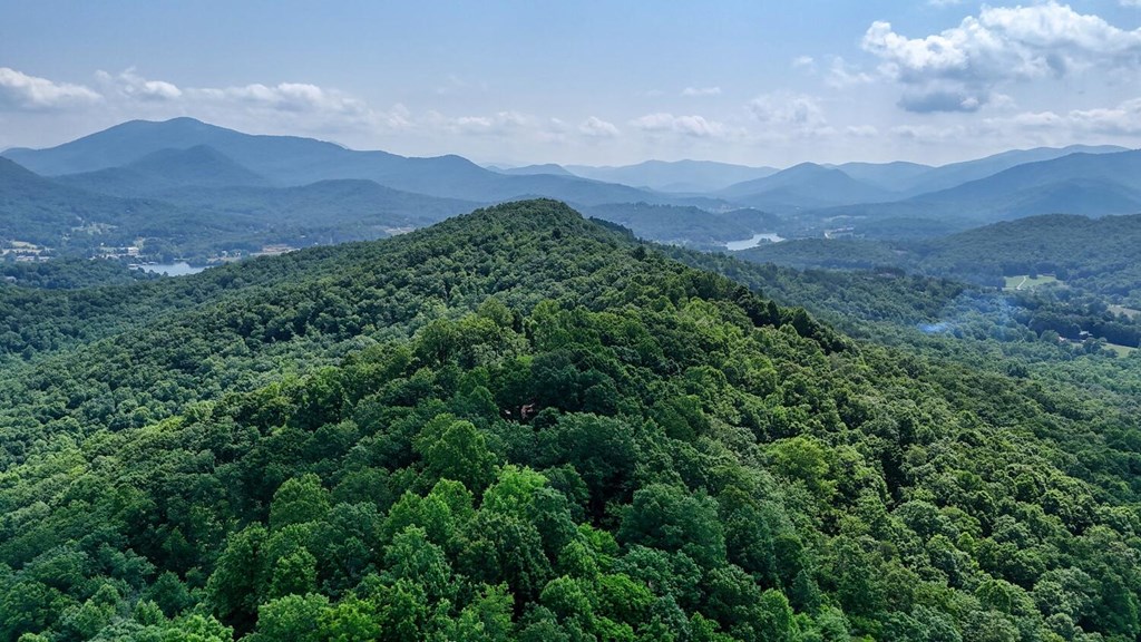 1795 Ivy Mountain Road Hiawassee, GA 30546 - Photo 53 of 53