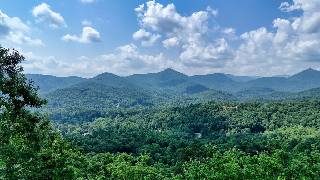 1795 Ivy Mountain Road Hiawassee, GA 30546 - Photo 6 of 53