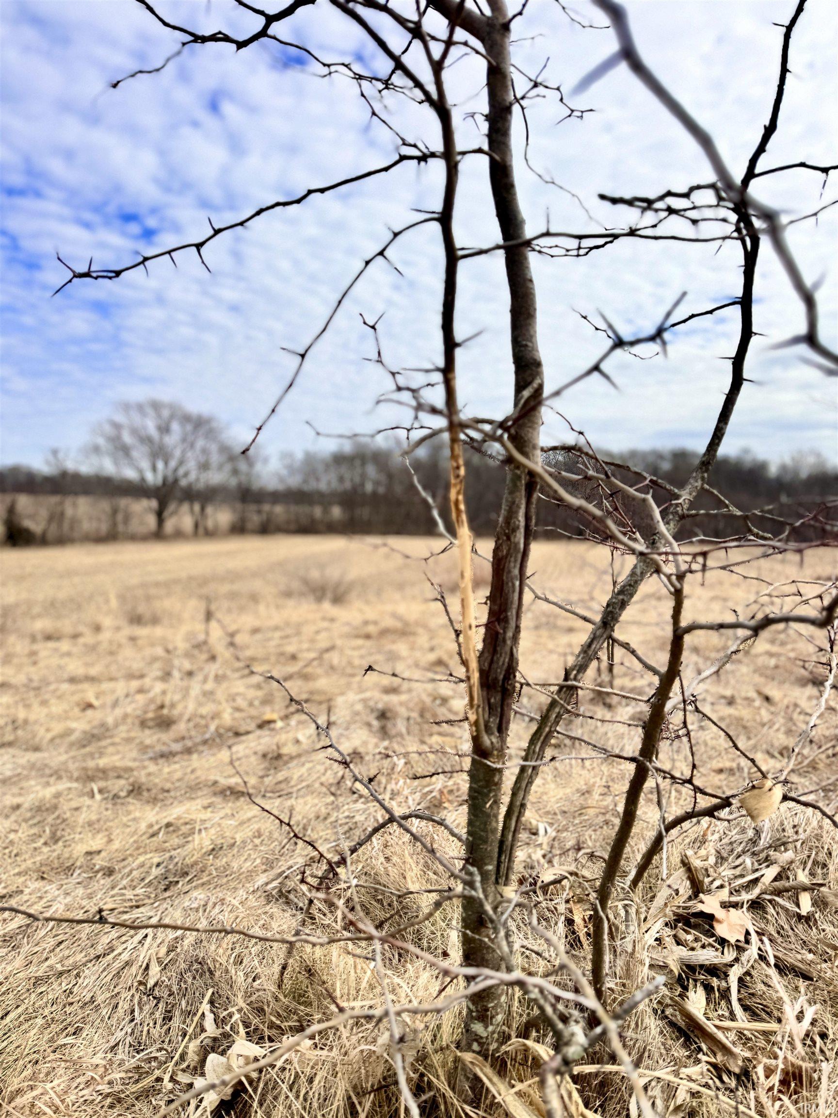 275 W NORTH County Road Crawfordsville, IN 47933 - Photo 18 of 36