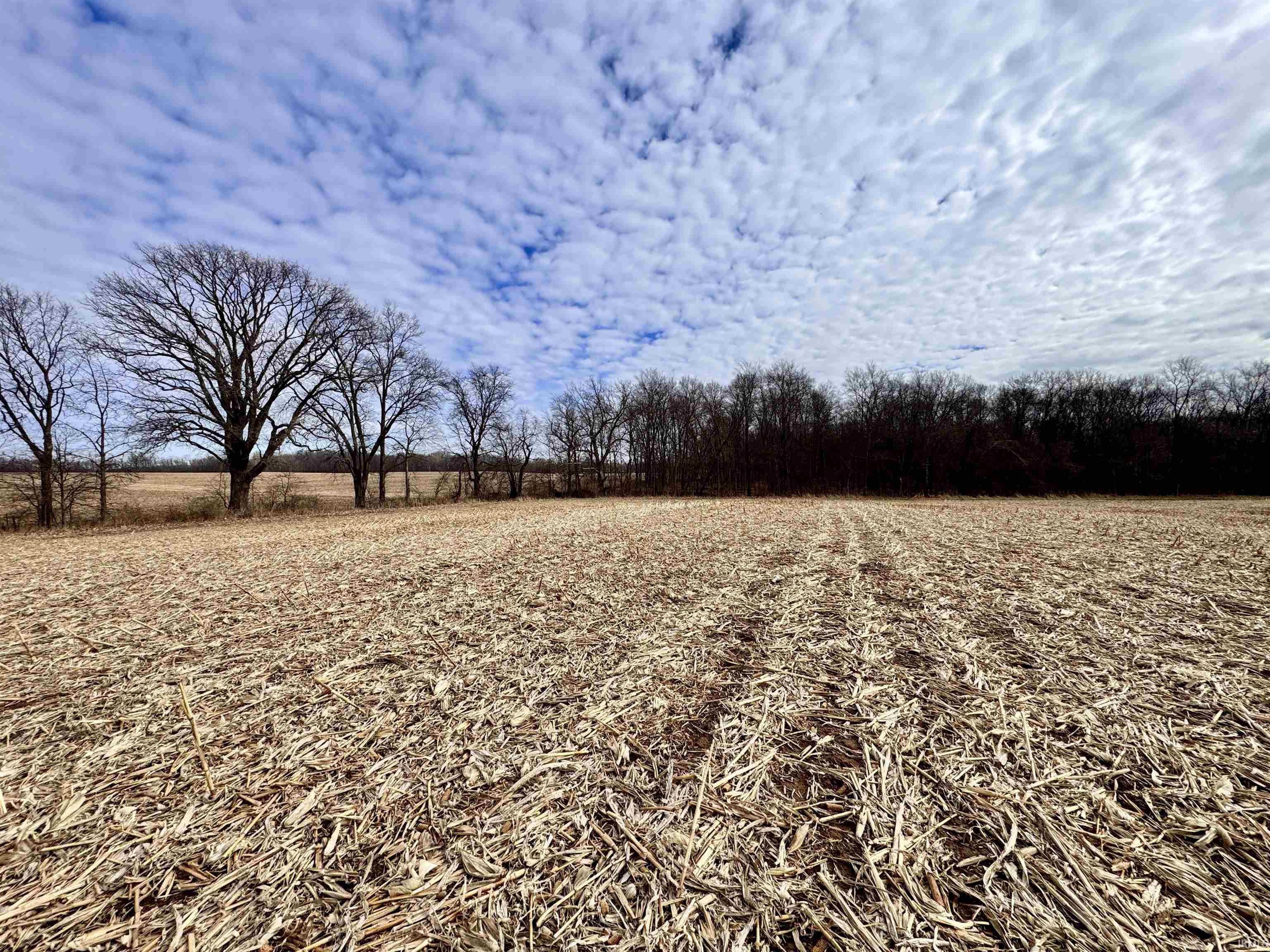 275 W NORTH County Road Crawfordsville, IN 47933 - Photo 18 of 36