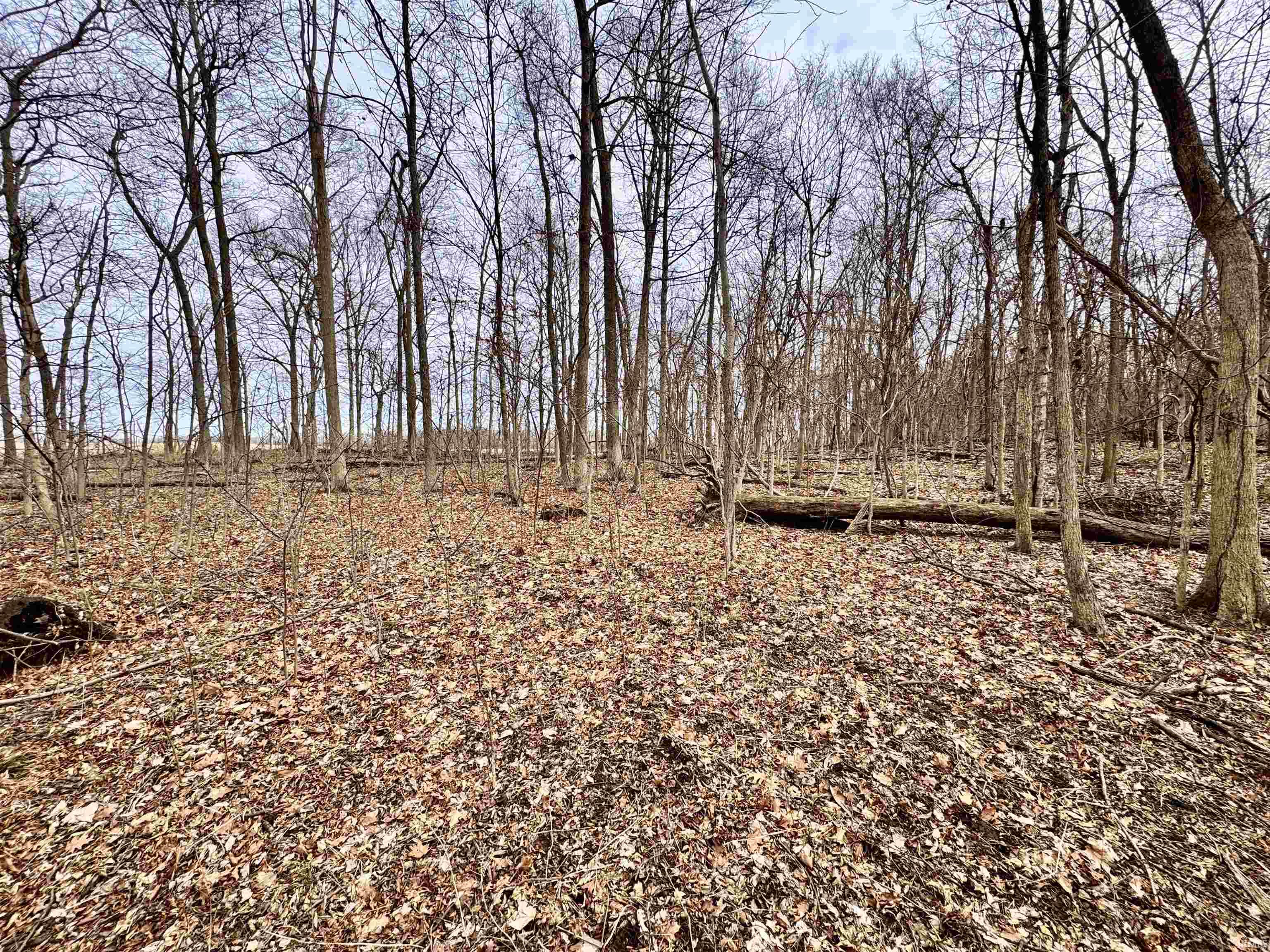 275 W NORTH County Road Crawfordsville, IN 47933 - Photo 28 of 36