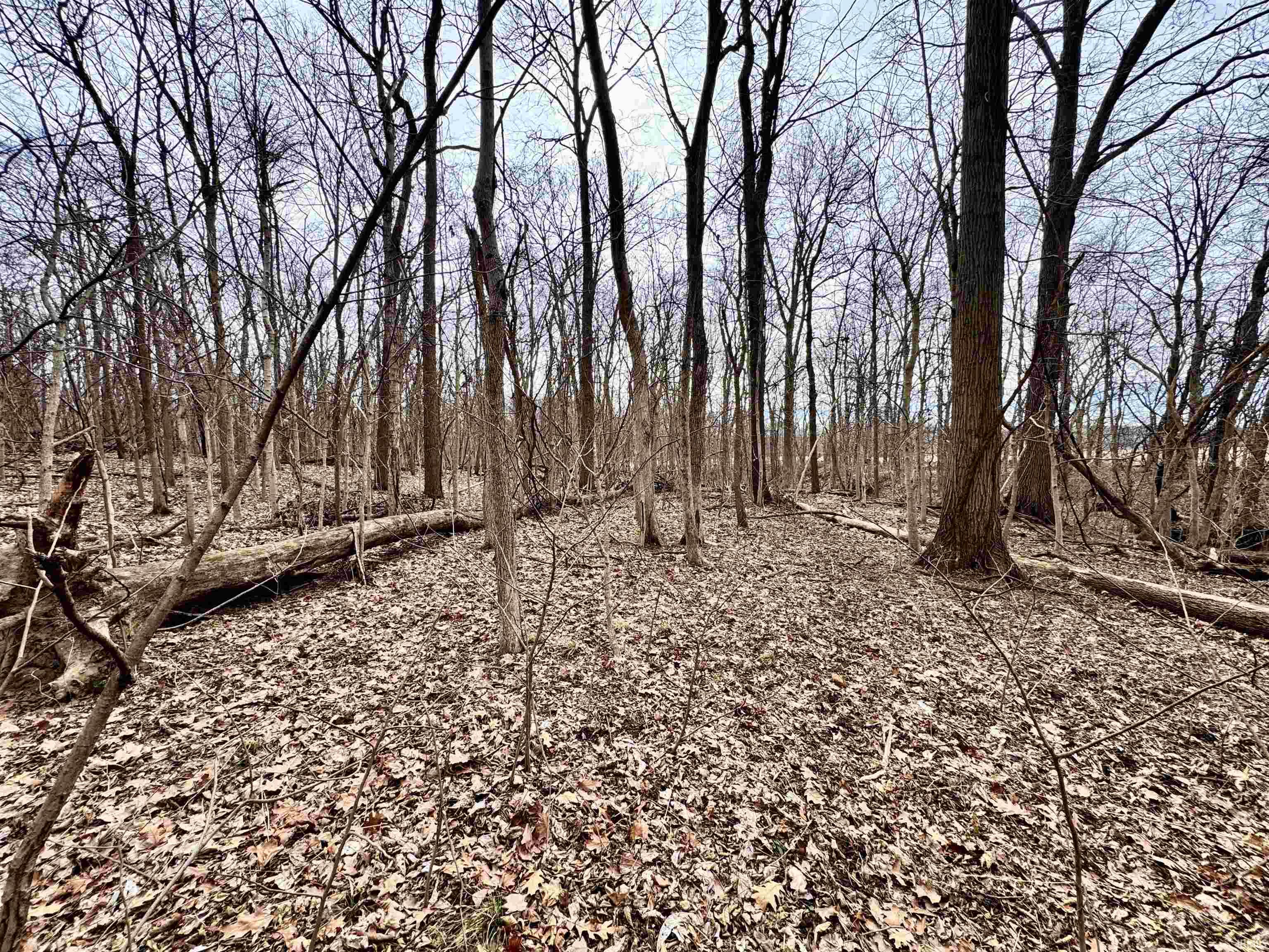 275 W NORTH County Road Crawfordsville, IN 47933 - Photo 29 of 36