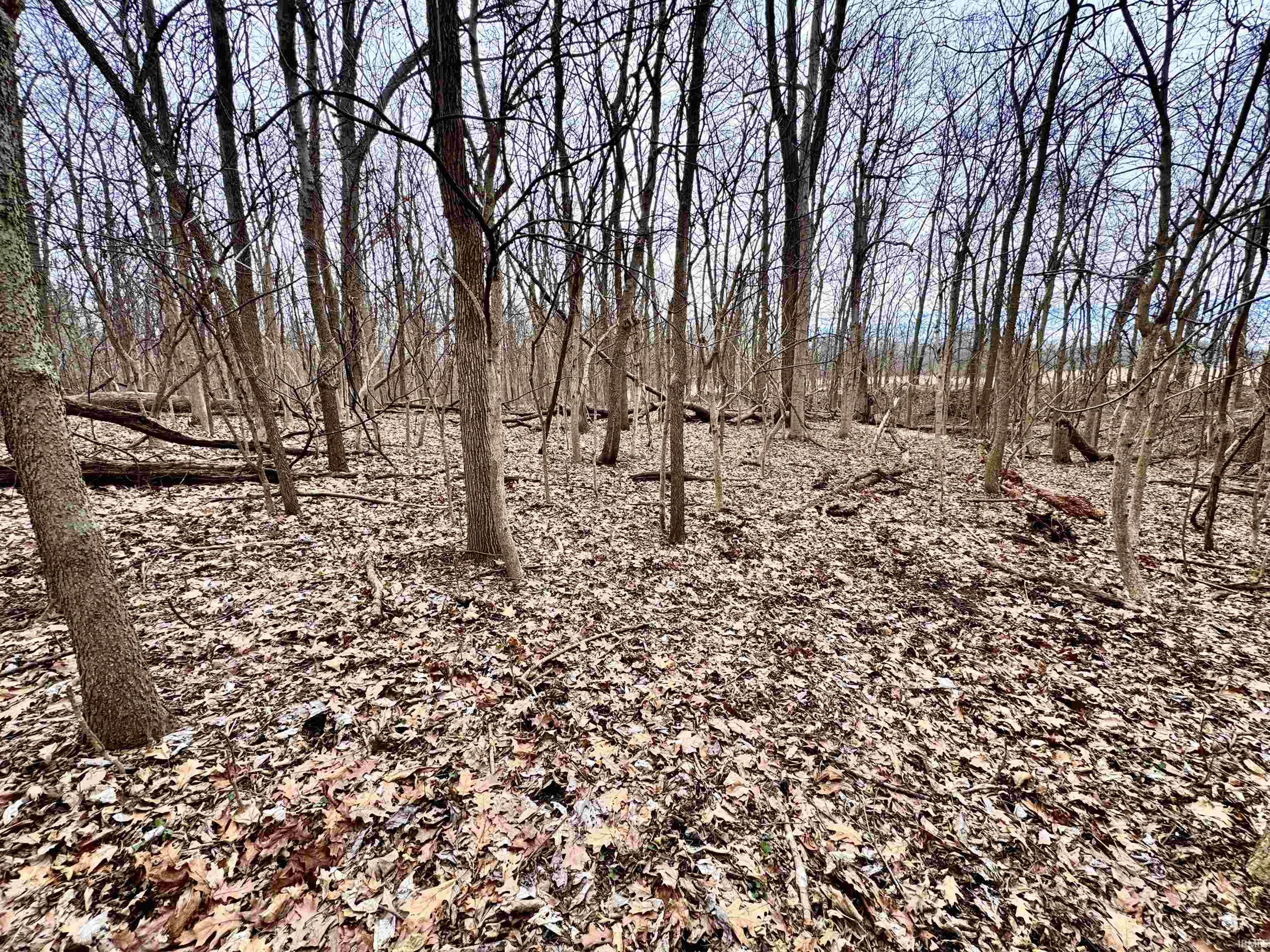 275 W NORTH County Road Crawfordsville, IN 47933 - Photo 30 of 36