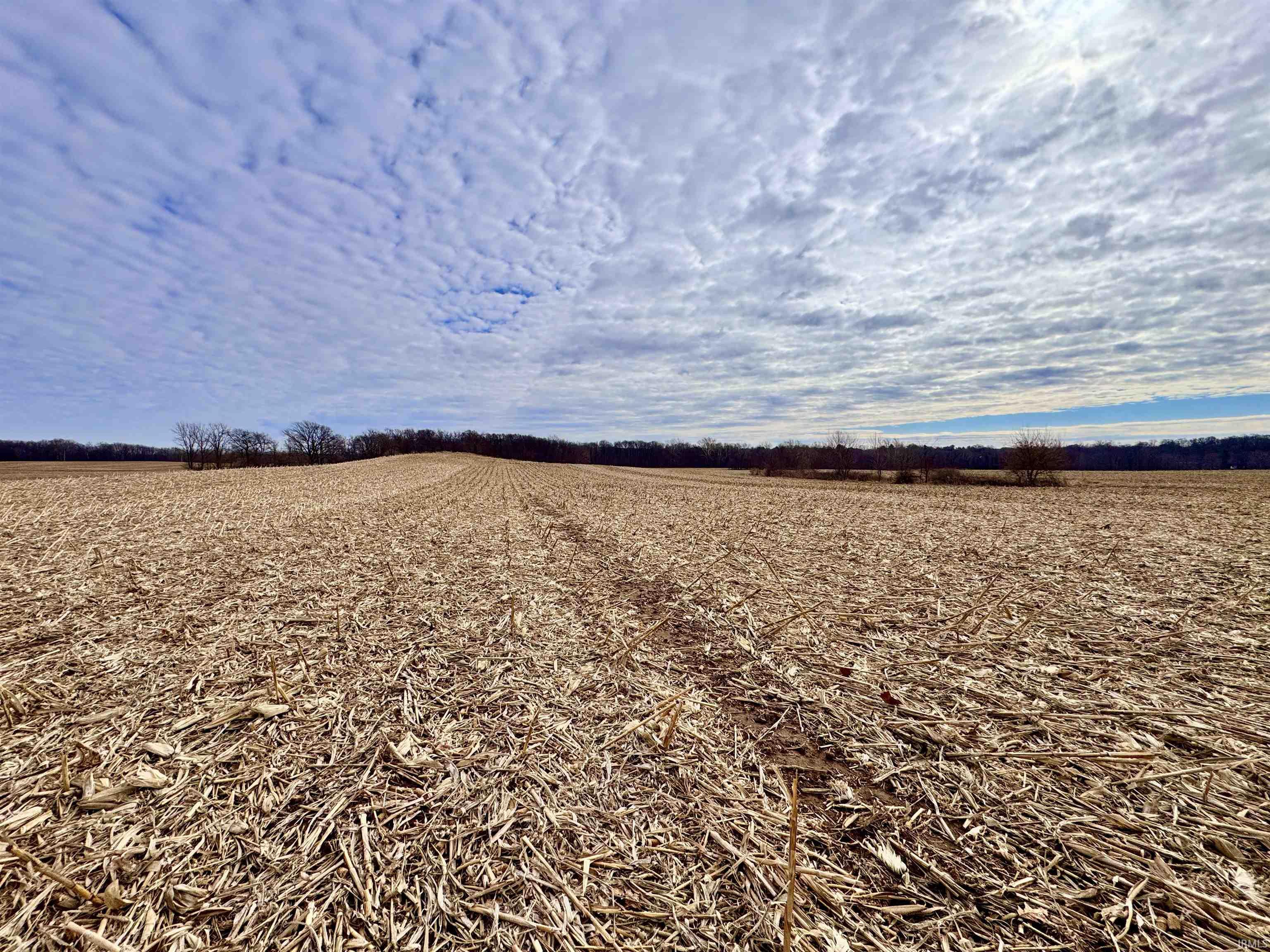 275 W NORTH County Road Crawfordsville, IN 47933 - Photo 3 of 36
