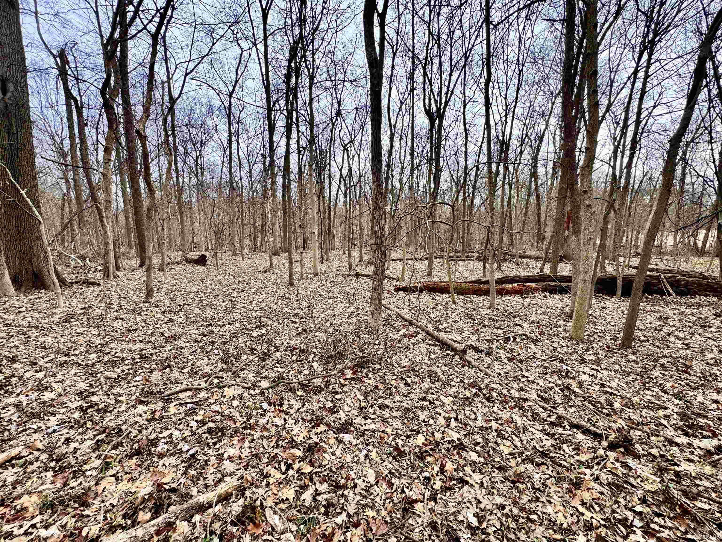 275 W NORTH County Road Crawfordsville, IN 47933 - Photo 31 of 36