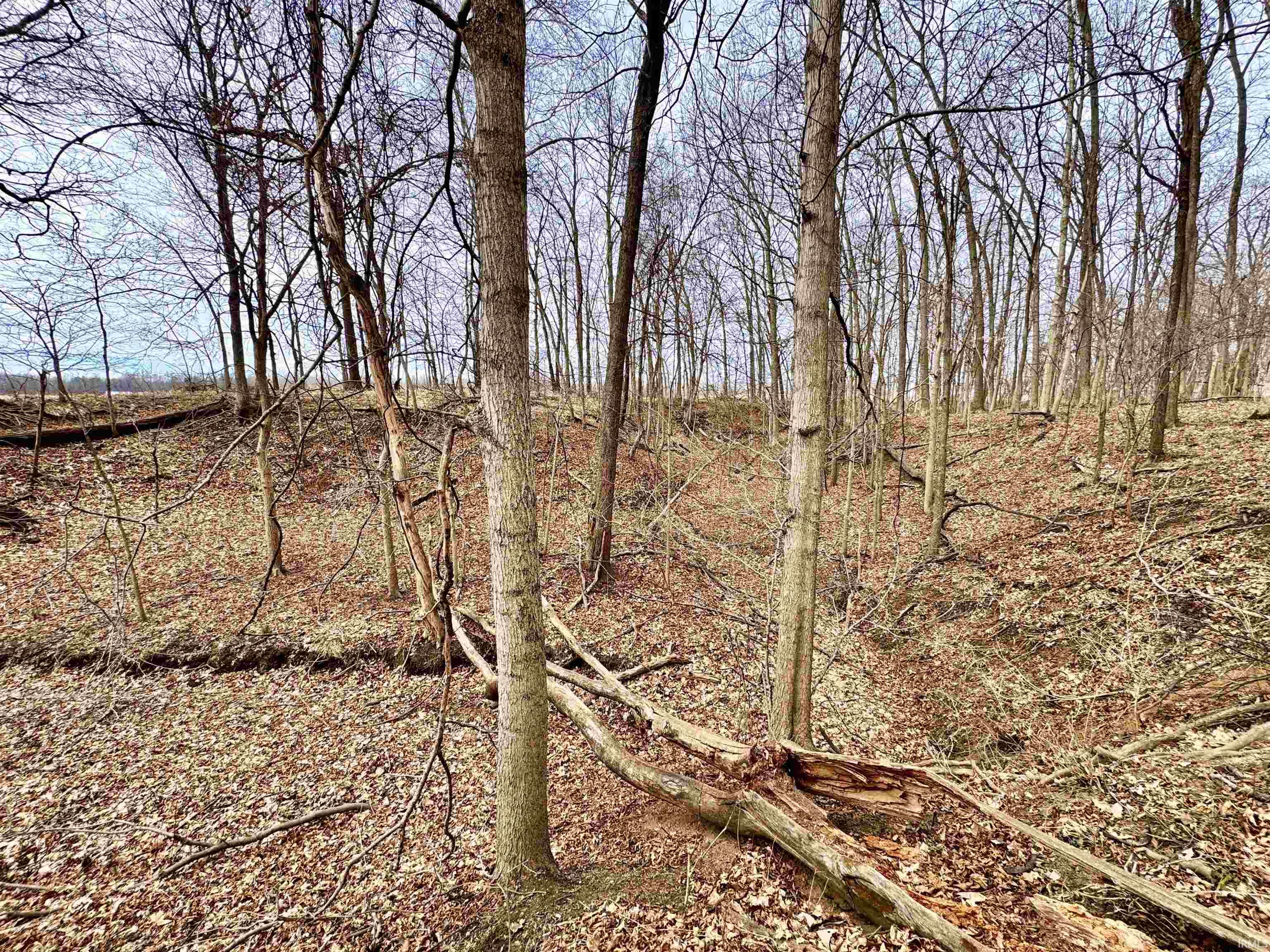 275 W NORTH County Road Crawfordsville, IN 47933 - Photo 32 of 36