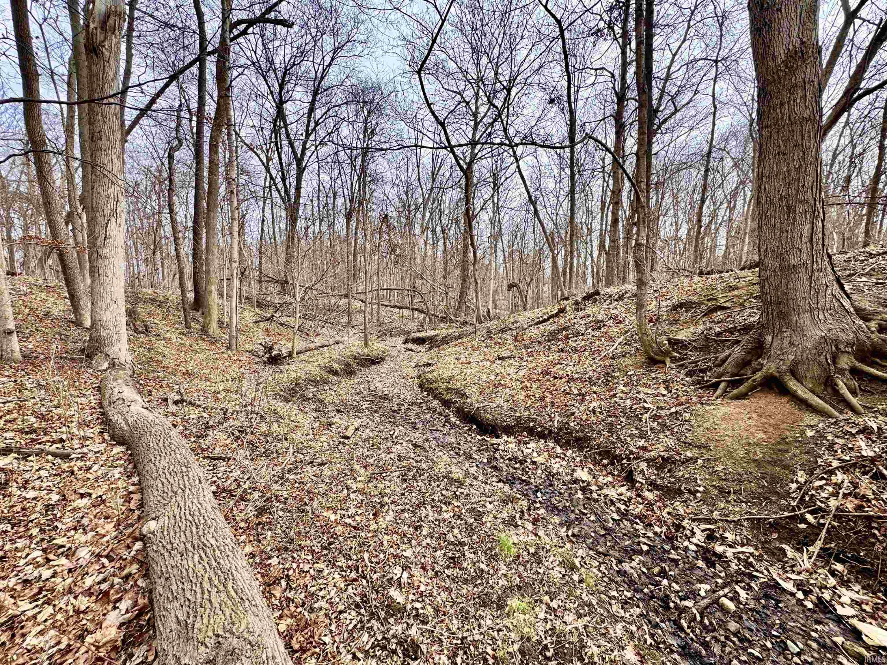 275 W NORTH County Road Crawfordsville, IN 47933 - Photo 33 of 36