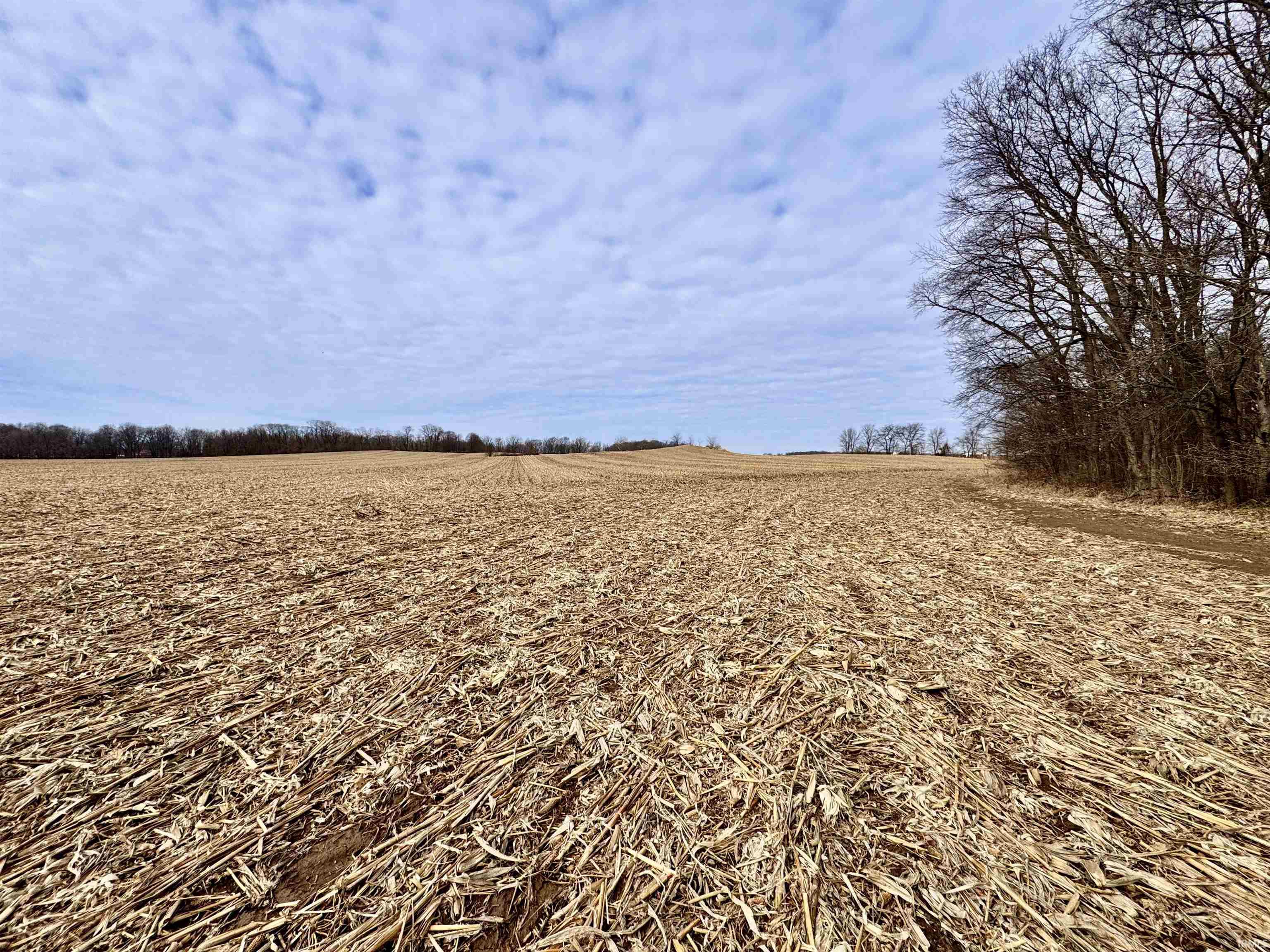 275 W NORTH County Road Crawfordsville, IN 47933 - Photo 35 of 36