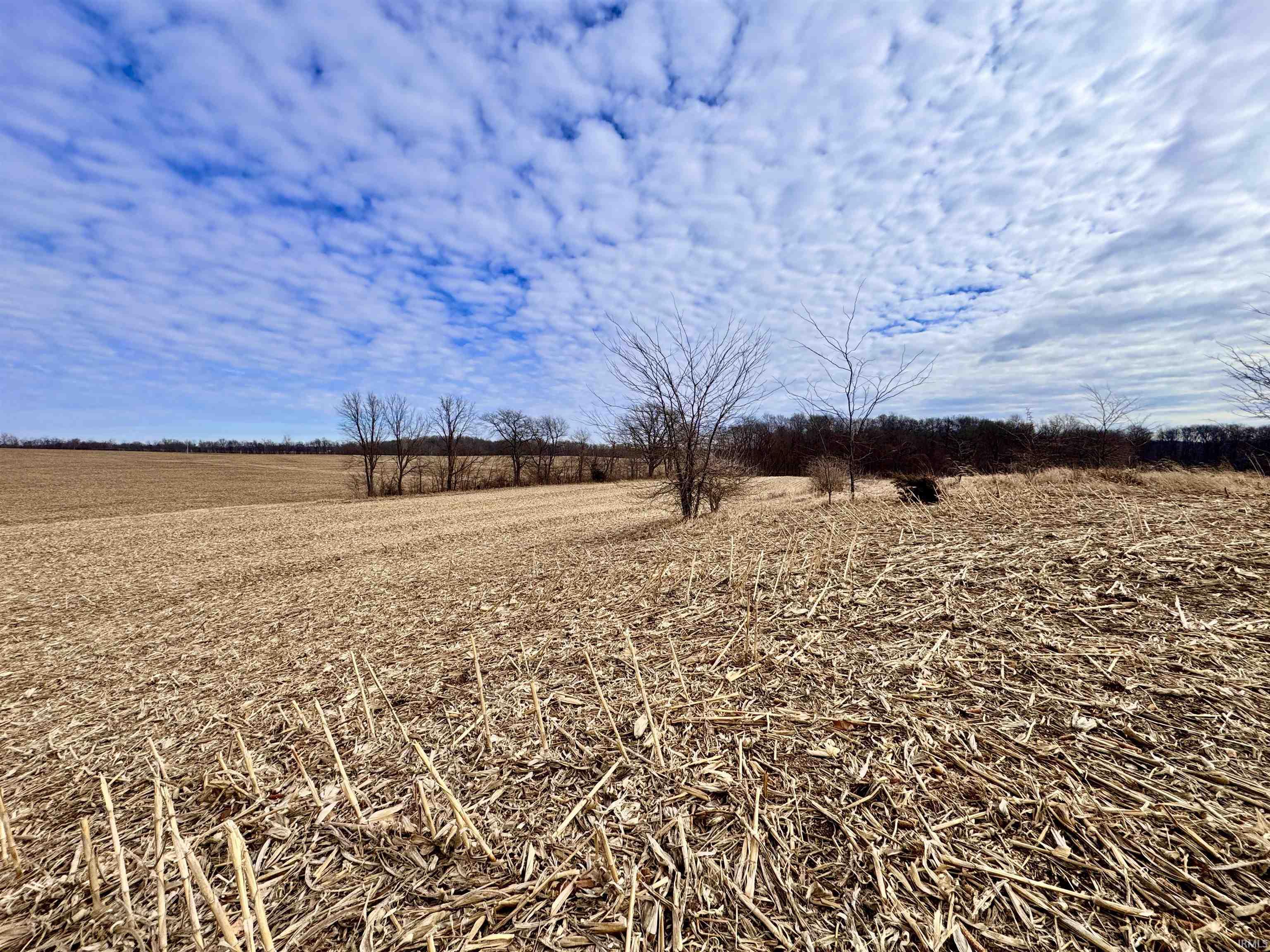 275 W NORTH County Road Crawfordsville, IN 47933 - Photo 4 of 36