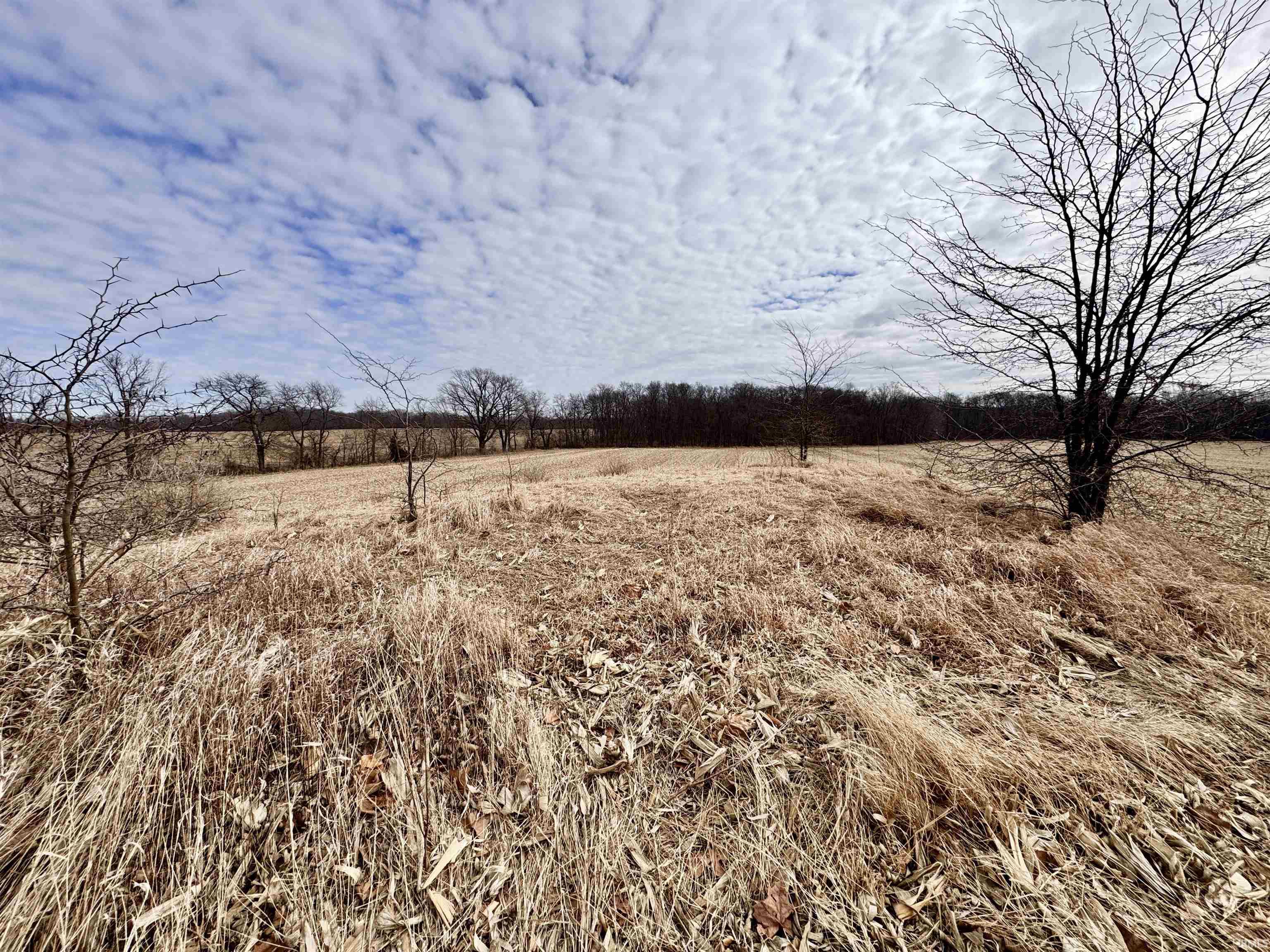 275 W NORTH County Road Crawfordsville, IN 47933 - Photo 5 of 36