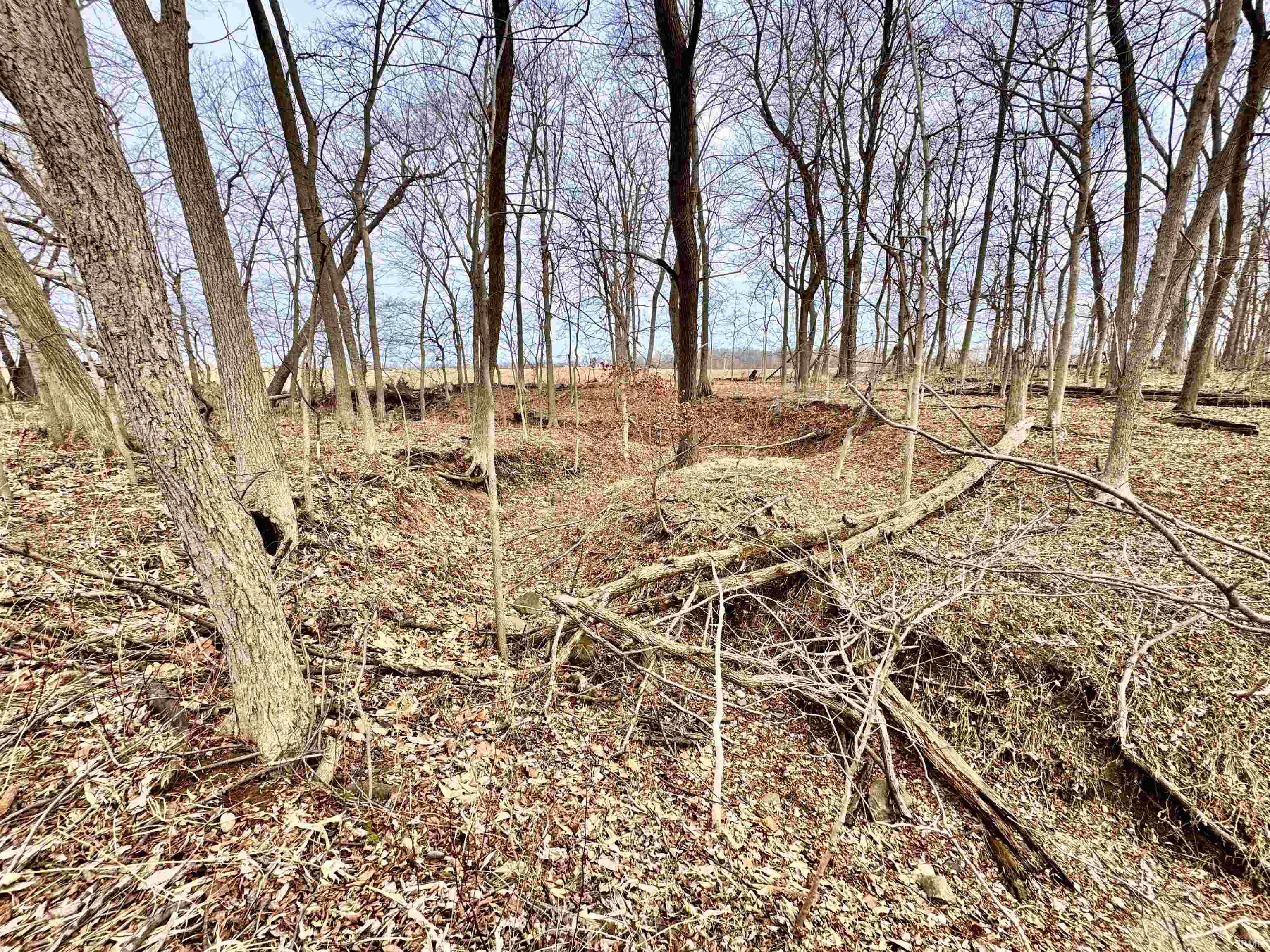 275 W NORTH County Road Crawfordsville, IN 47933 - Photo 8 of 36