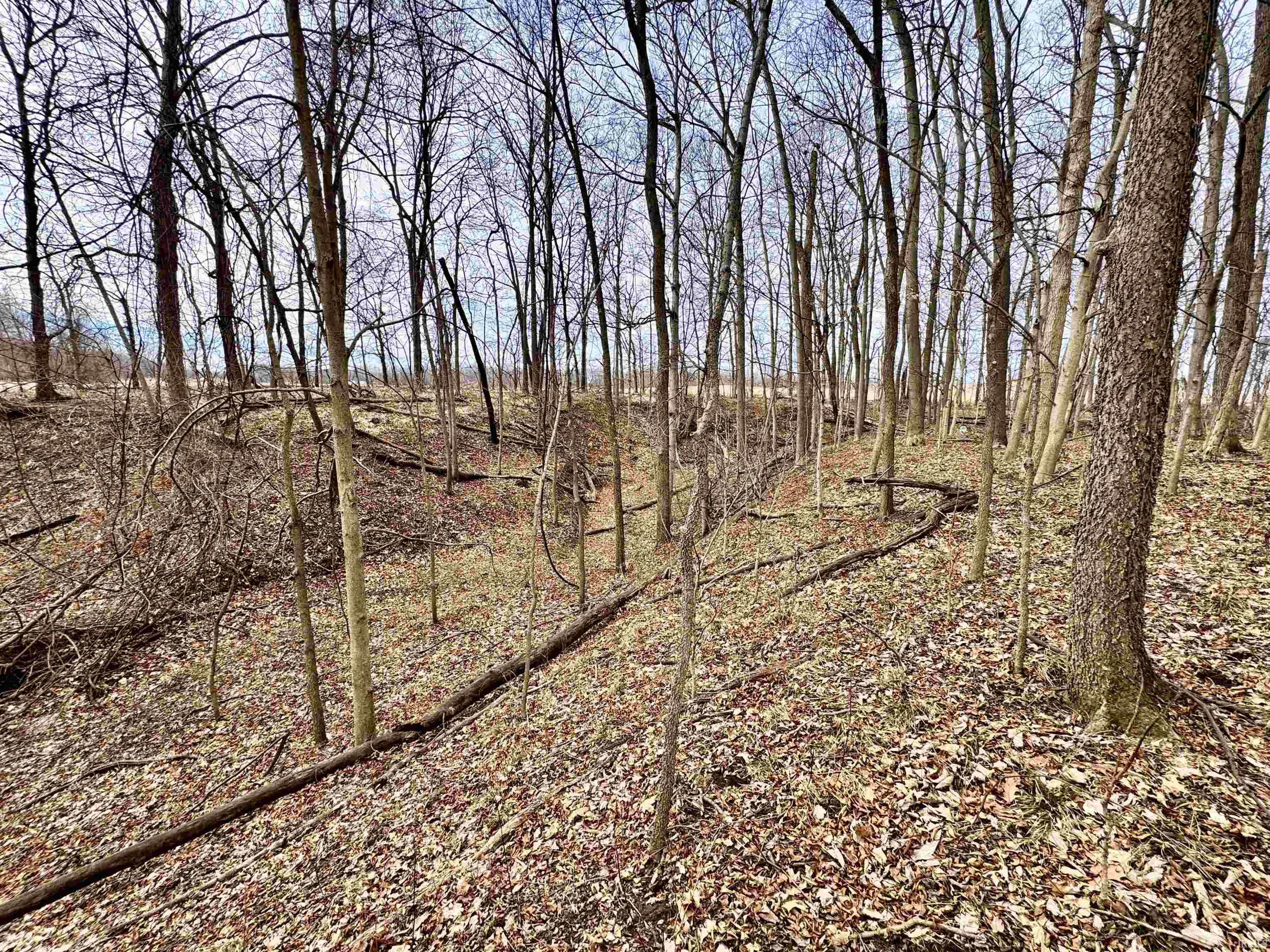 275 W NORTH County Road Crawfordsville, IN 47933 - Photo 9 of 36