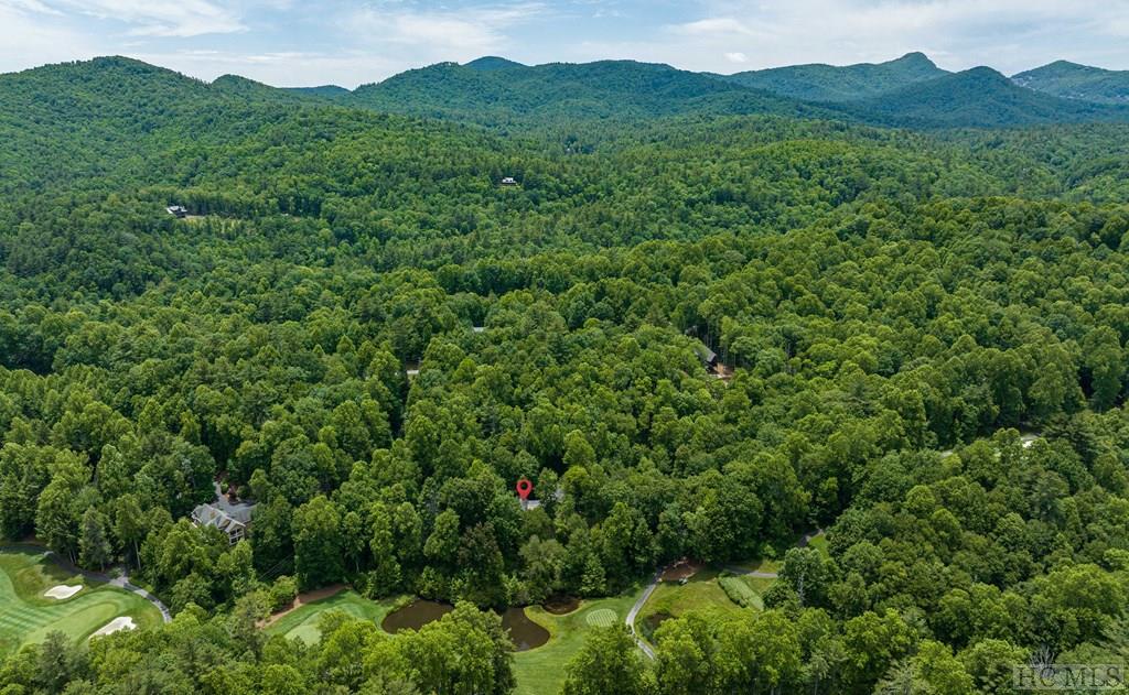 899 Boiling Springs Road Sapphire, NC 28774 - Photo 54 of 59 Gallery Image 54