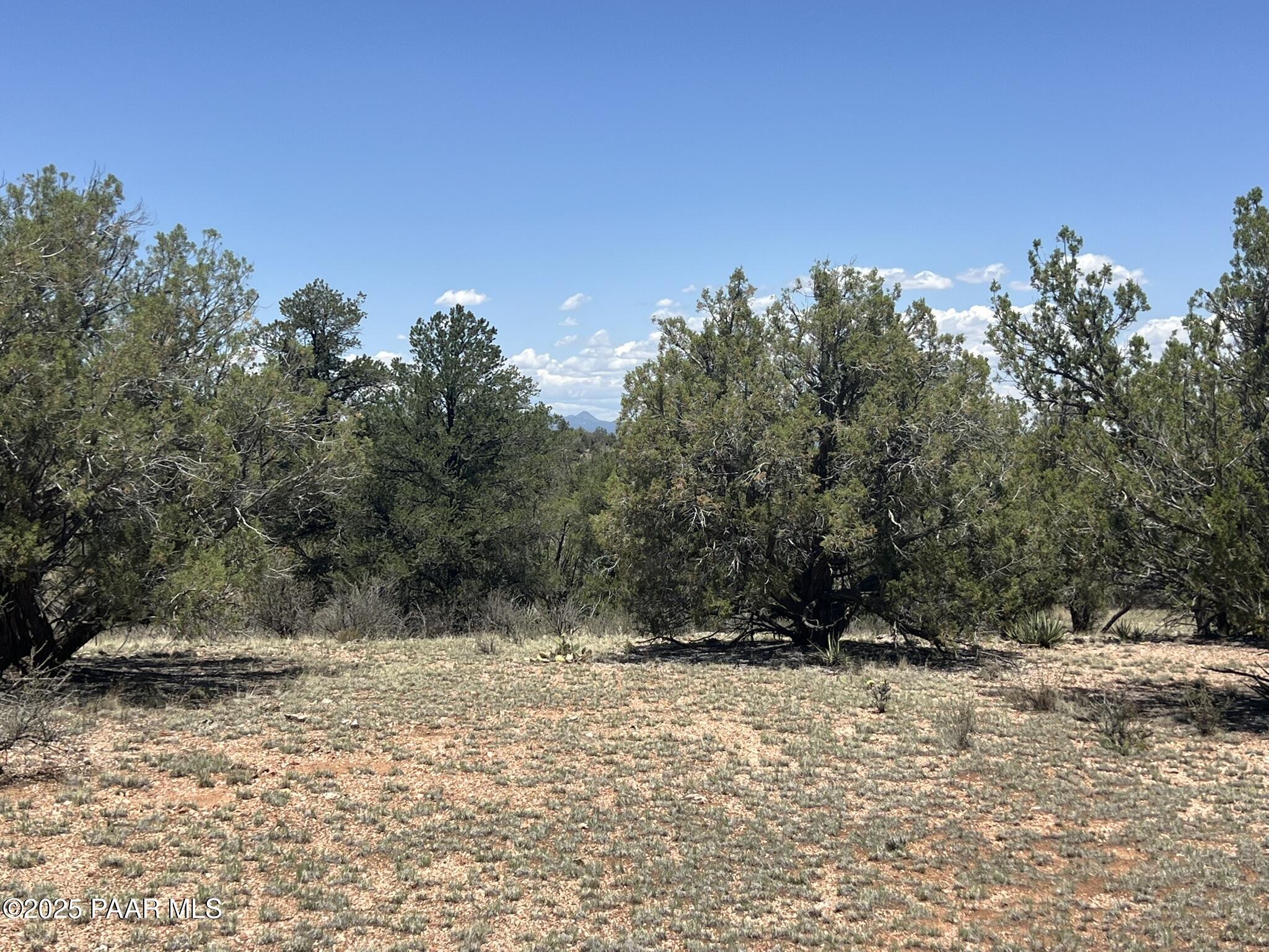 249 West Kings Ranch Road Ash Fork, AZ 86320 - Photo 3 of 7 IMG_8211