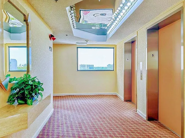 a view of a potted plants with wooden fence
