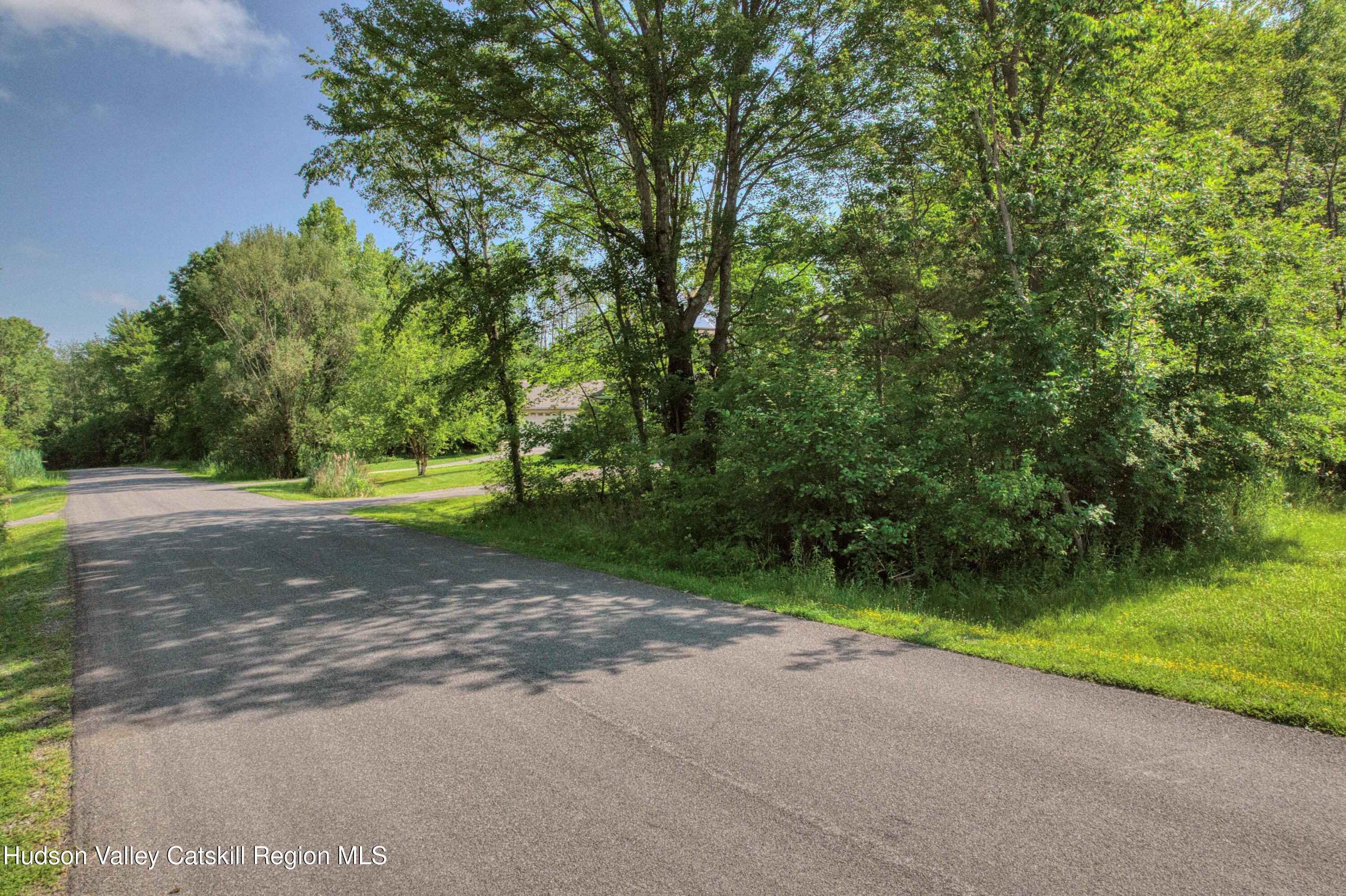 986 Sleepy Hollow Road Coxsackie, NY 12015 - Photo 1 of 7 a view of a yard with plants and trees