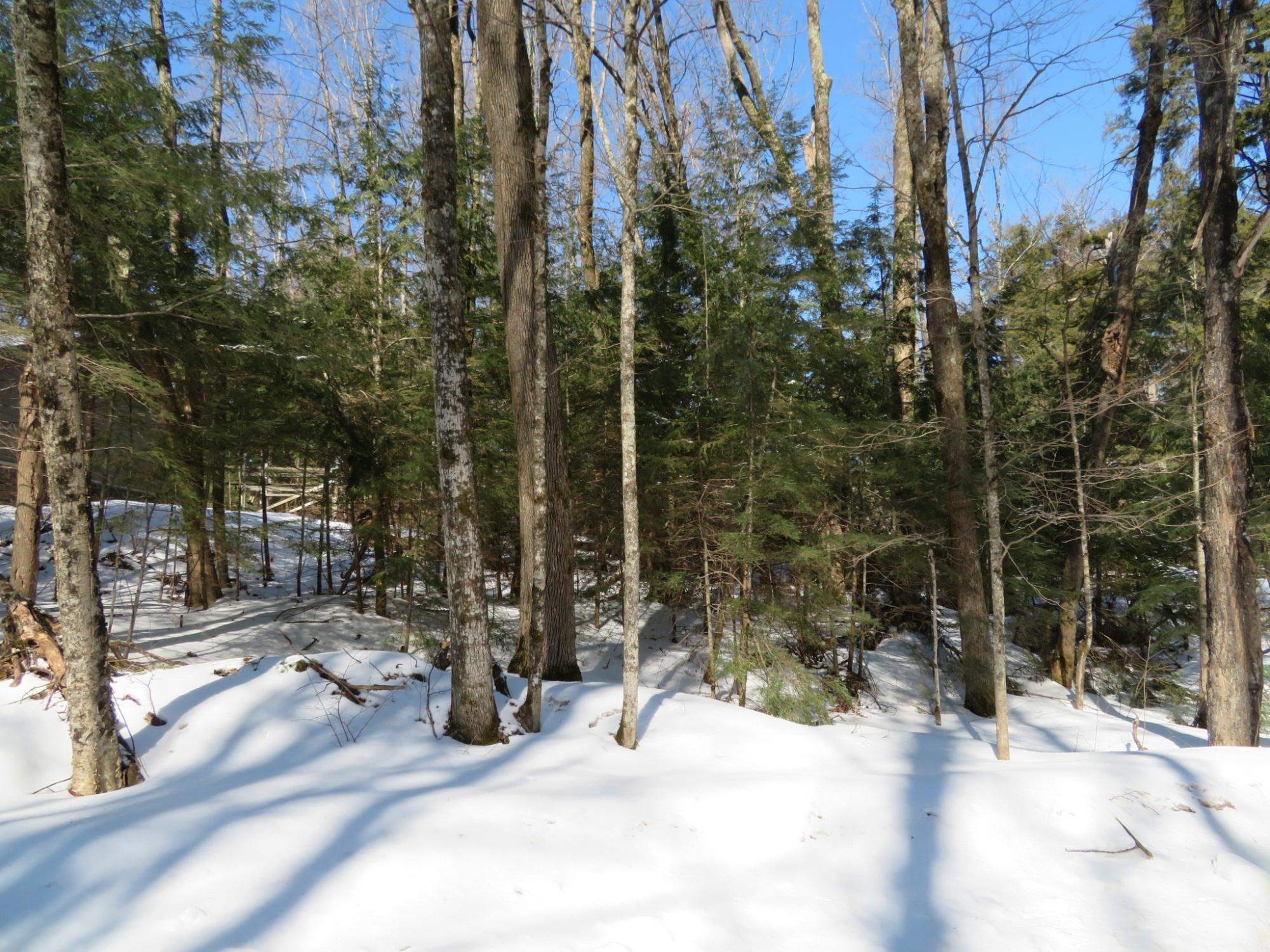 On Enterprise Lake Road Elcho, WI 54428 - Photo 4 of 15 Gallery Image 4