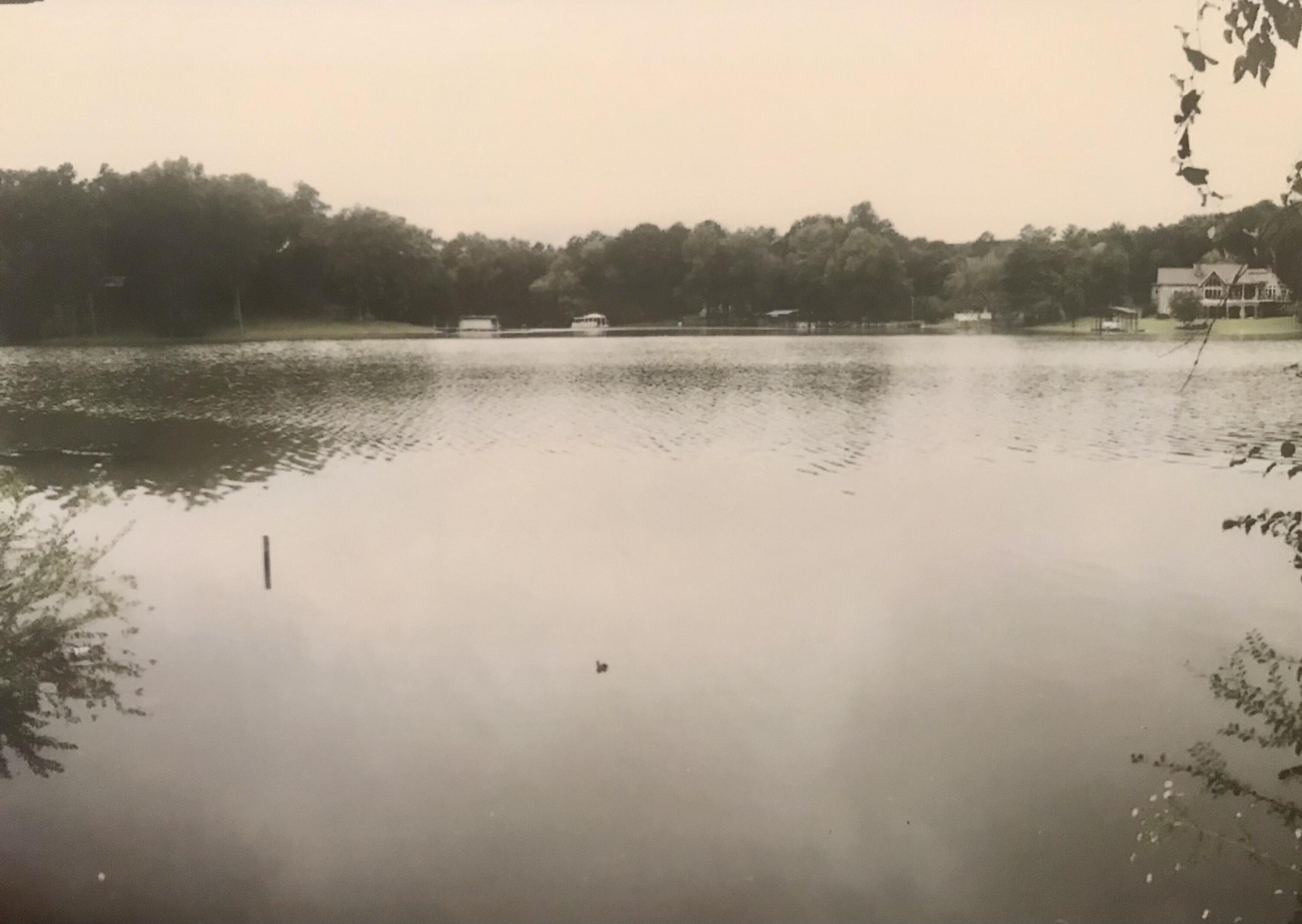 2344 Stonesage Road Soddy Daisy, TN 37379 - Photo 14 of 30 Lake view