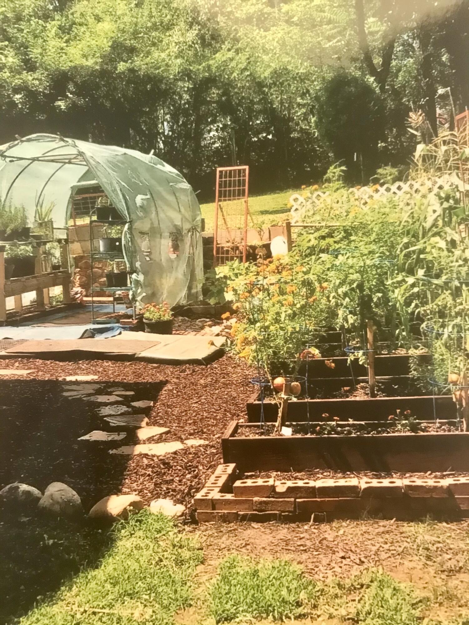 2344 Stonesage Road Soddy Daisy, TN 37379 - Photo 18 of 30 Greenhouse