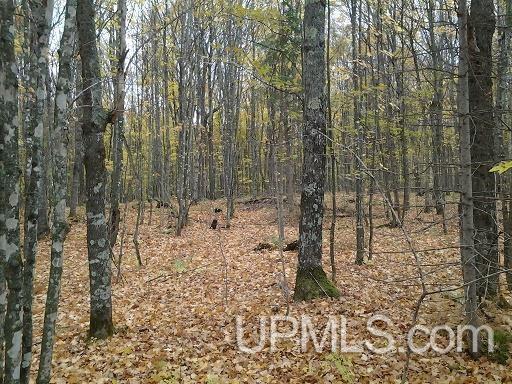 Tbd Whitefish Road Chatham, MI 49816 - Photo 3 of 30