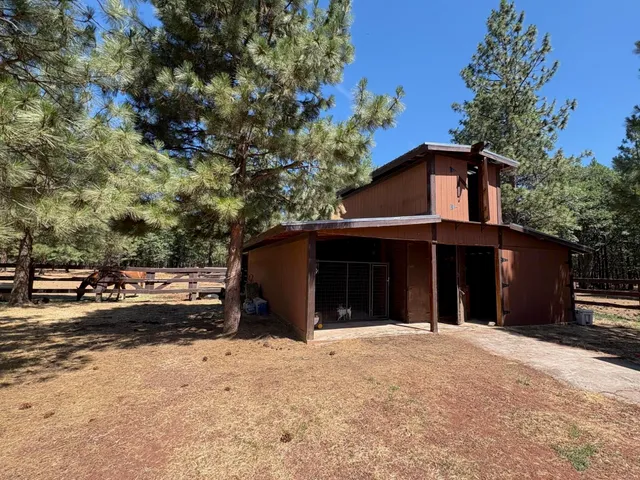 a view of backyard with trees
