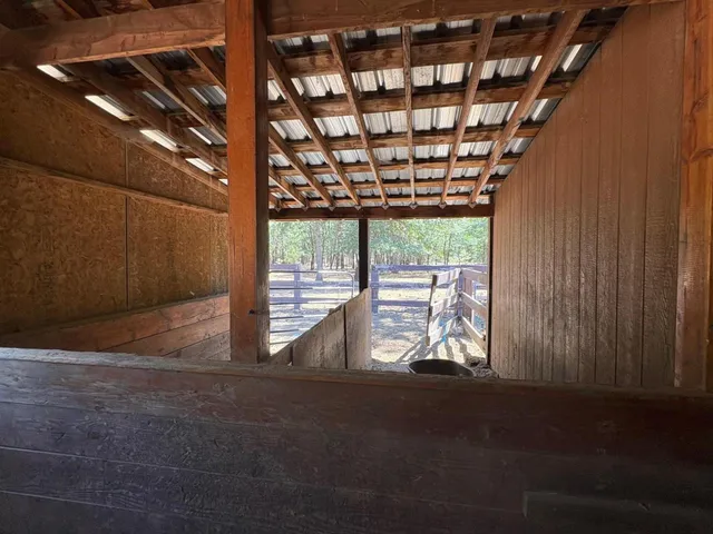 a living room with furniture window and a fireplace