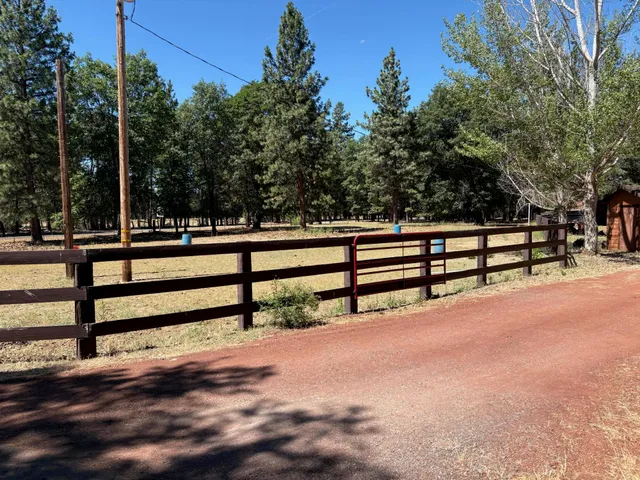 a large tree in front of a house