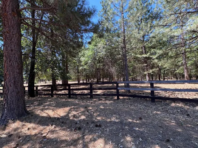 a view of a yard with wooden fence