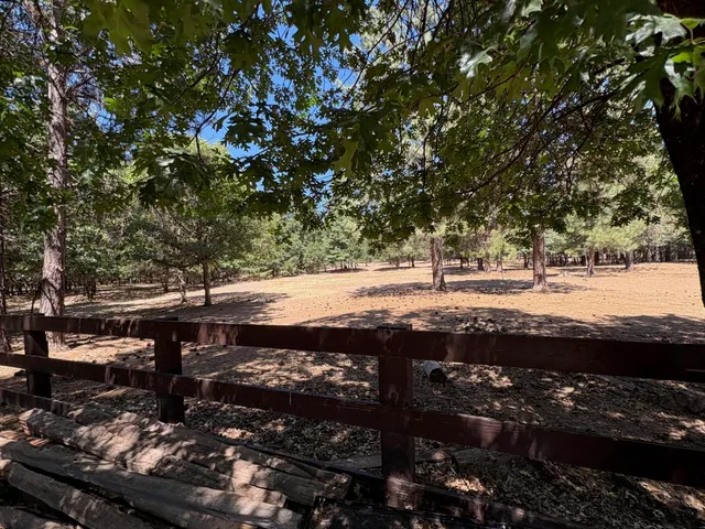 a view of a house with backyard and trees