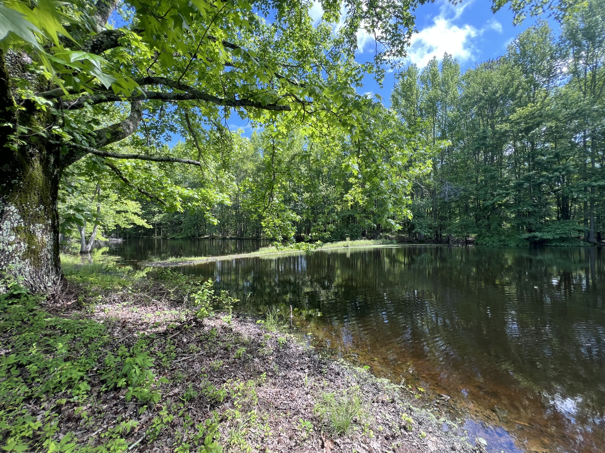 25 Mc Crory Road St. Joseph, TN 38481 - Photo 11 of 36 Gallery Image 11