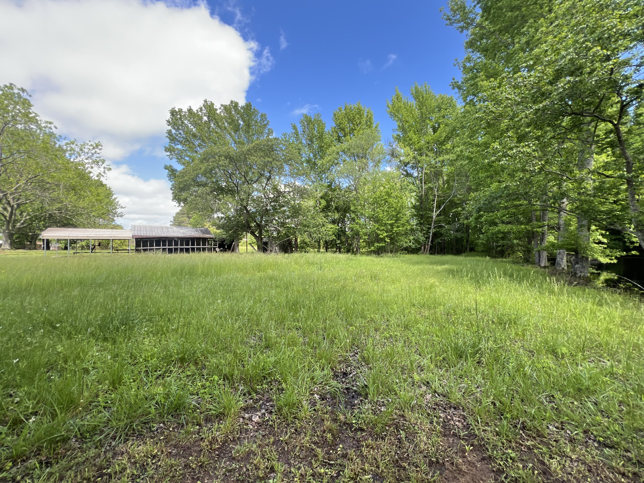 25 Mc Crory Road St. Joseph, TN 38481 - Photo 16 of 36 Gallery Image 16