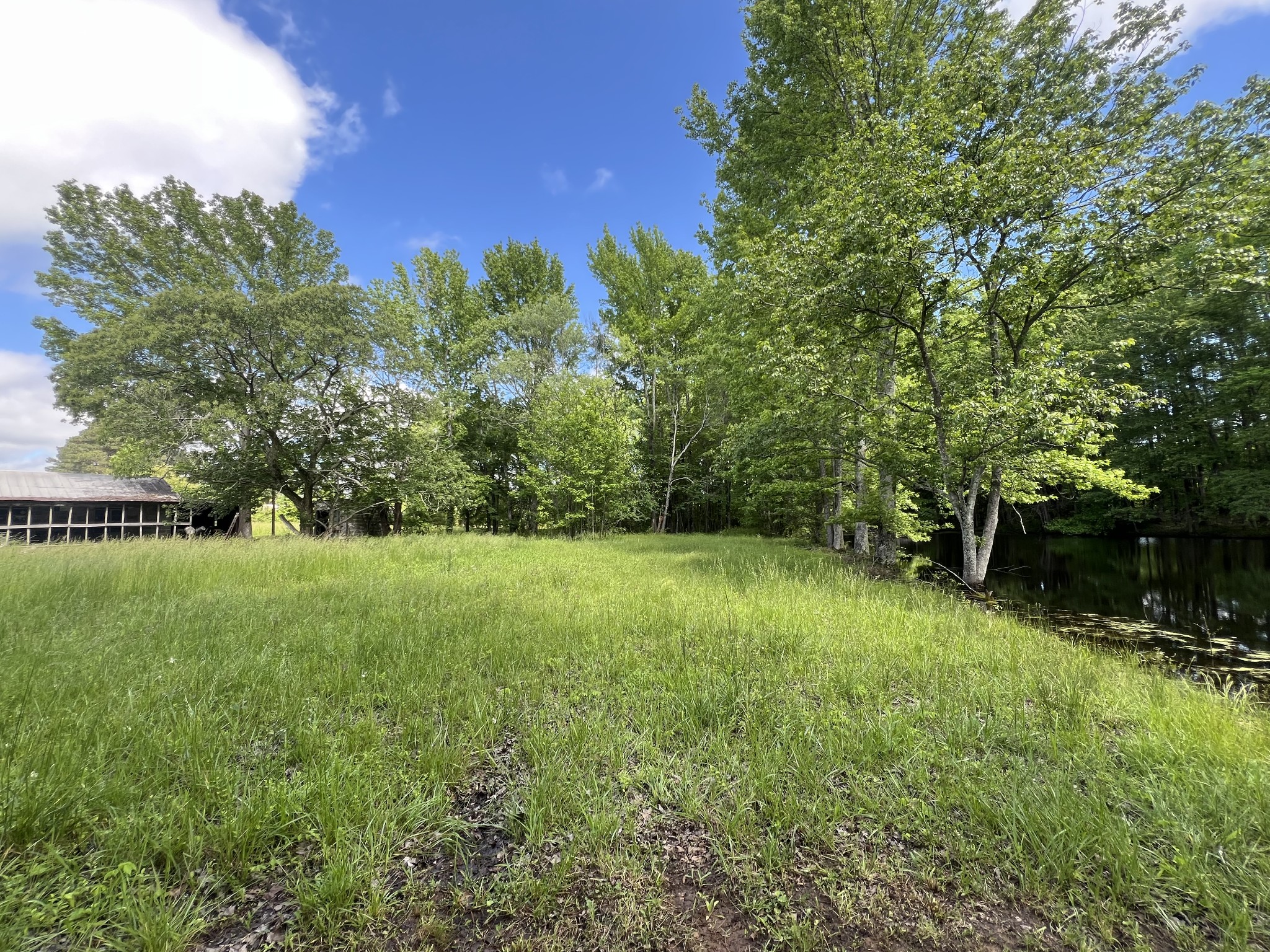 25 Mc Crory Road St. Joseph, TN 38481 - Photo 17 of 36 Gallery Image 17